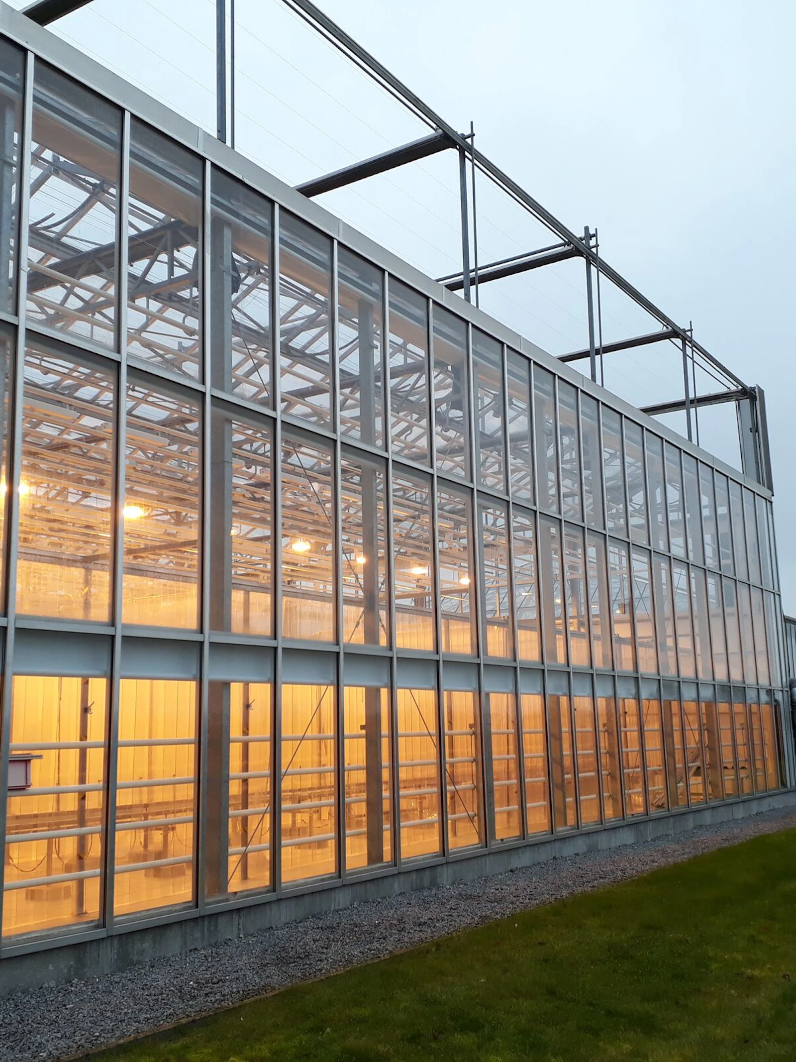 De VIB Agro-Incubator: waar innovatieve projecten uitgroeien in klimaatbestendige oplossingen voor de landbouw