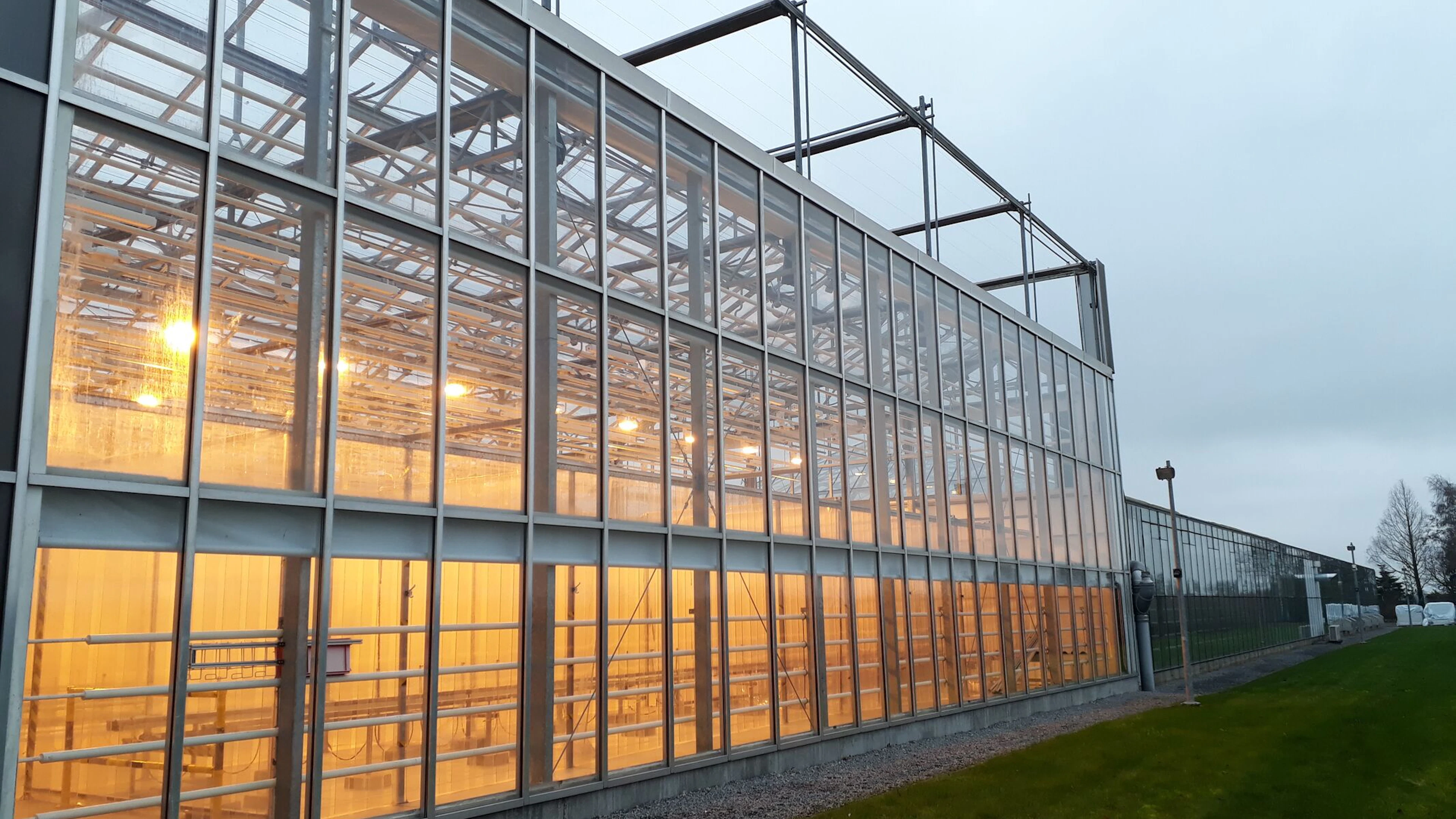 De VIB Agro-Incubator: waar innovatieve projecten uitgroeien in klimaatbestendige oplossingen voor de landbouw