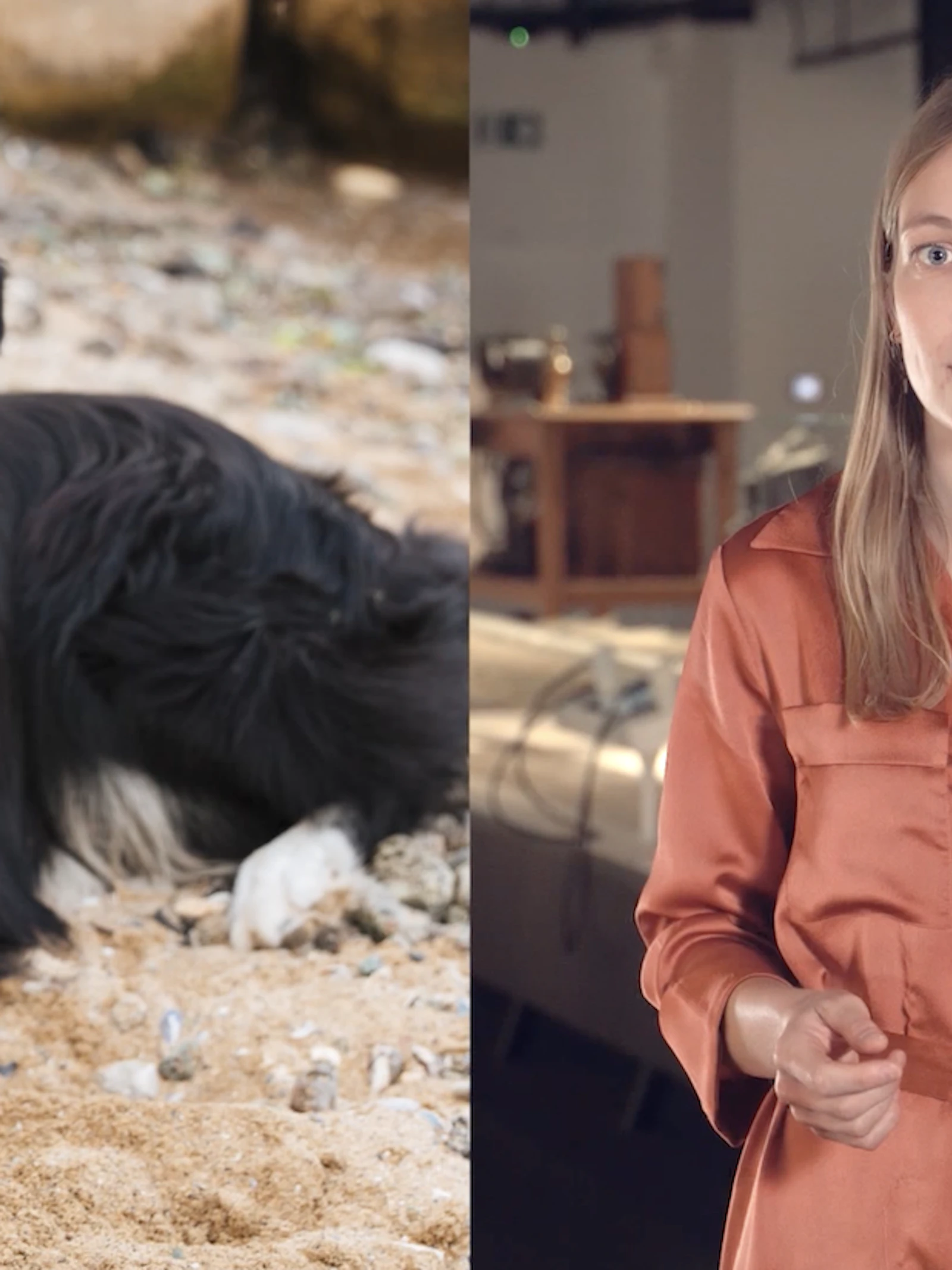 Epilepsie bij honden: zit de oplossing in de darmen?
