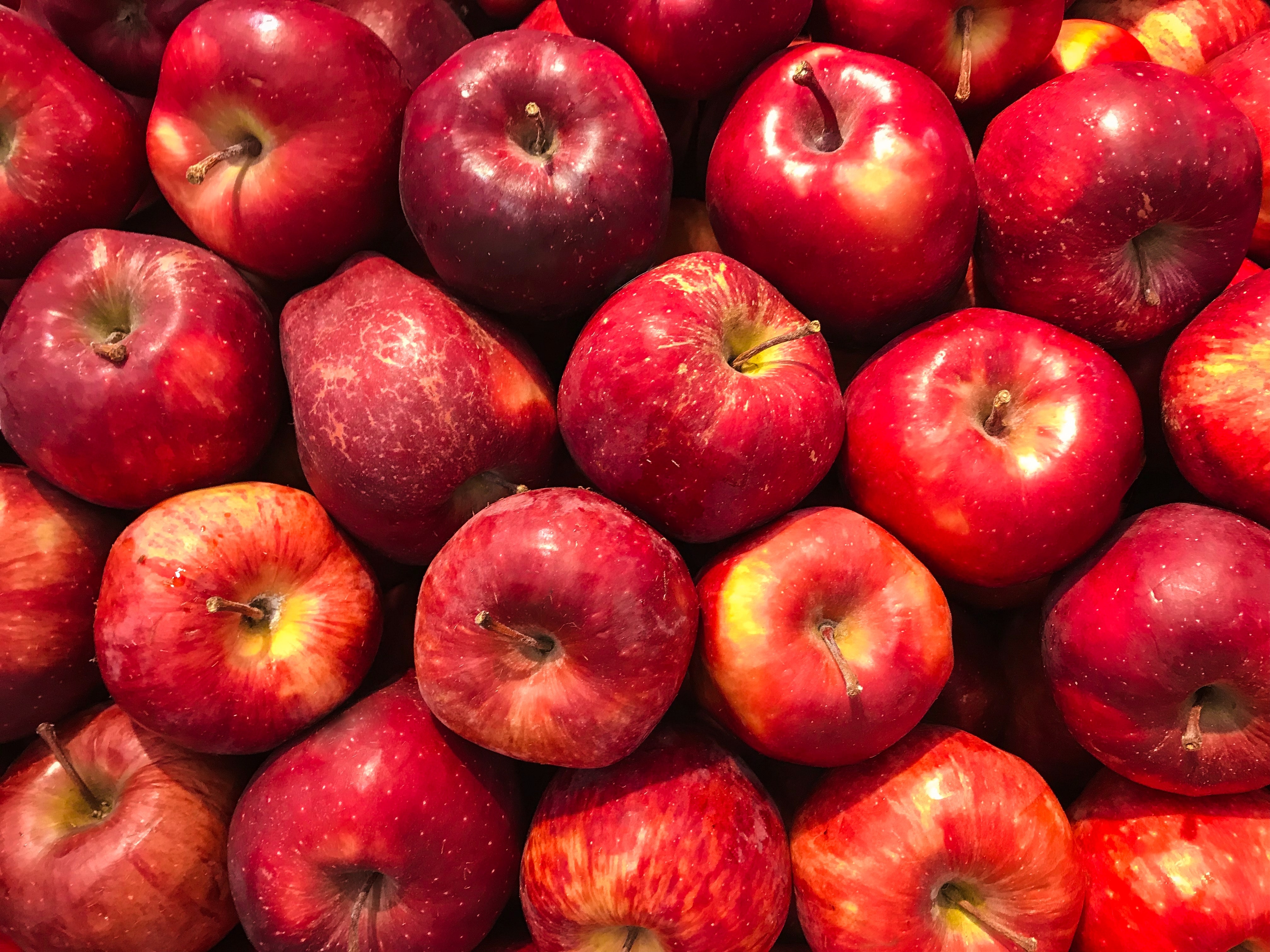 Betekent een stof uit appels een doorbraak voor MS?