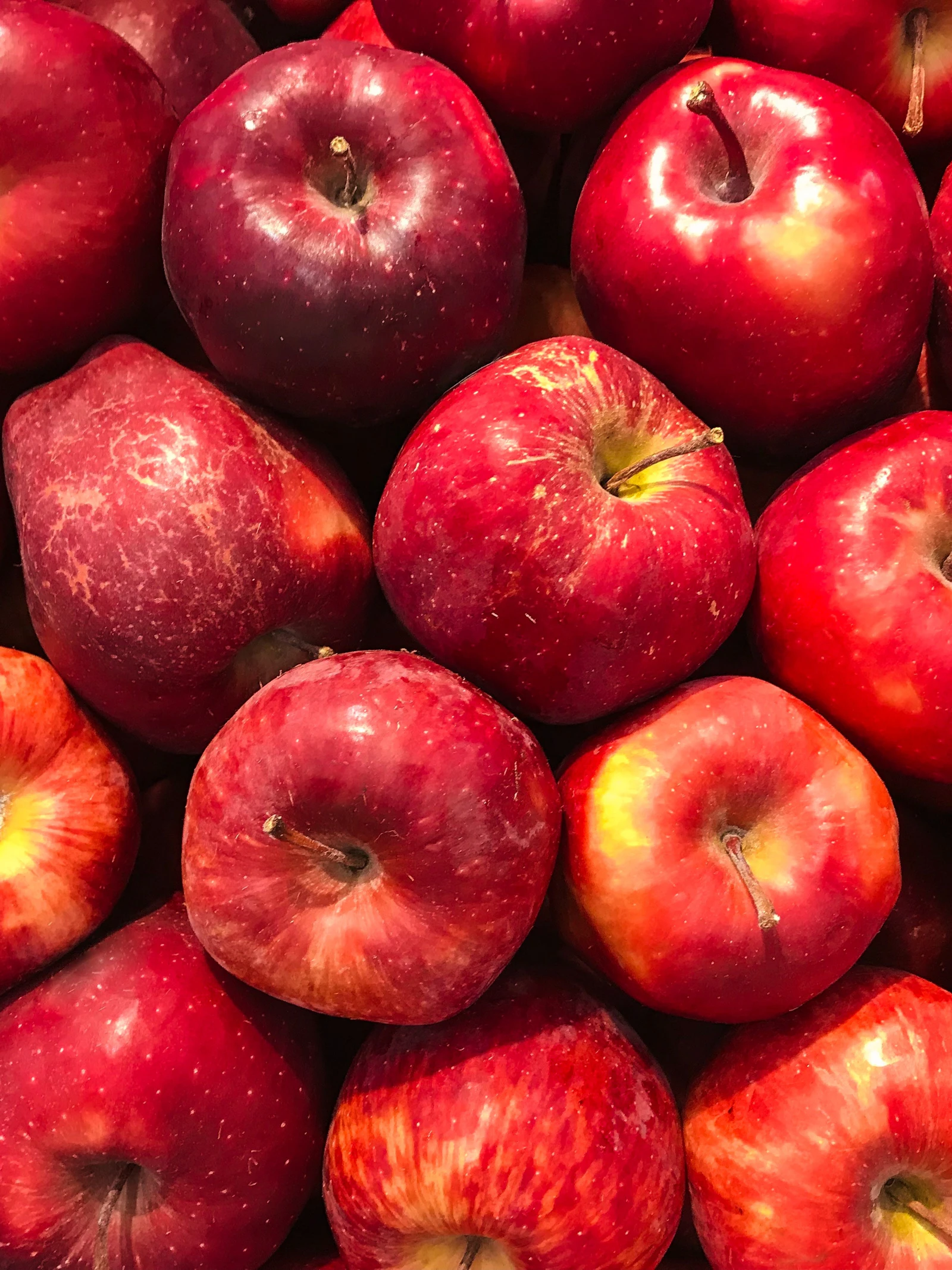 Betekent een stof uit appels een doorbraak voor MS?
