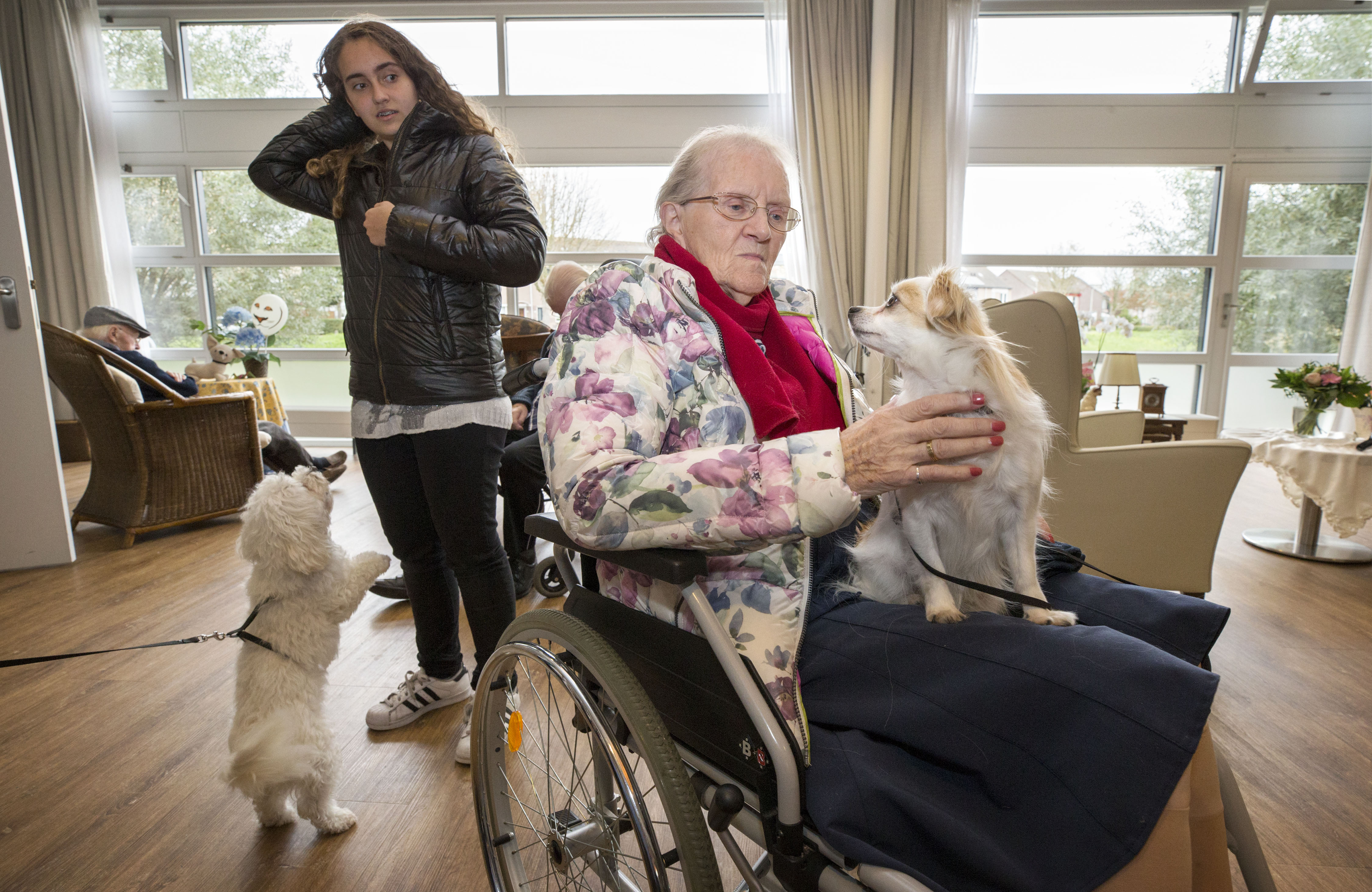 Waarom dieren goede therapeuten zijn