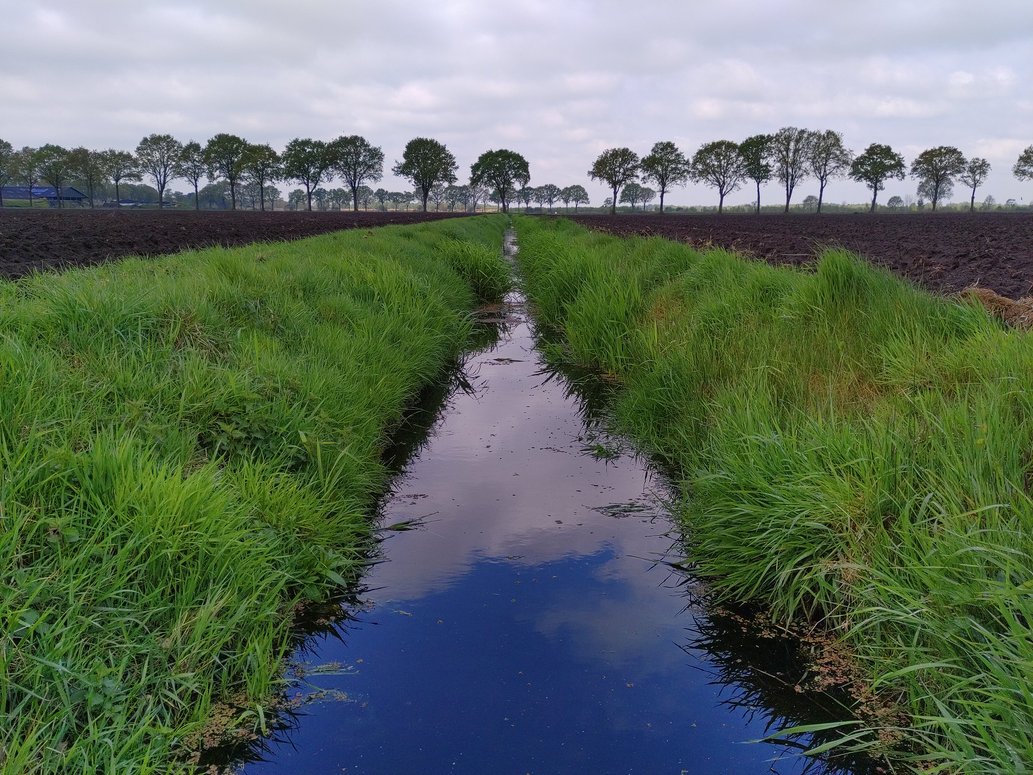 Minder draineren voor meer water | EOS Wetenschap