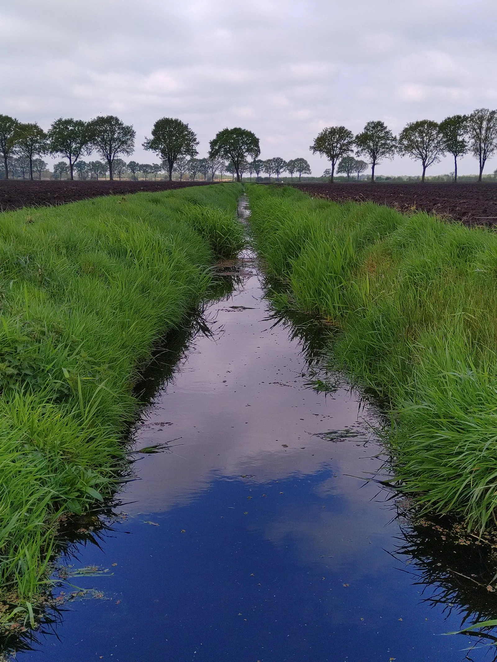 Gracht in landbouwgebied met grasstrook en akkers. Grachten in landbouwgebied voeren water af, maar kunnen ook gebruikt worden om de grondwaterstand te reguleren.