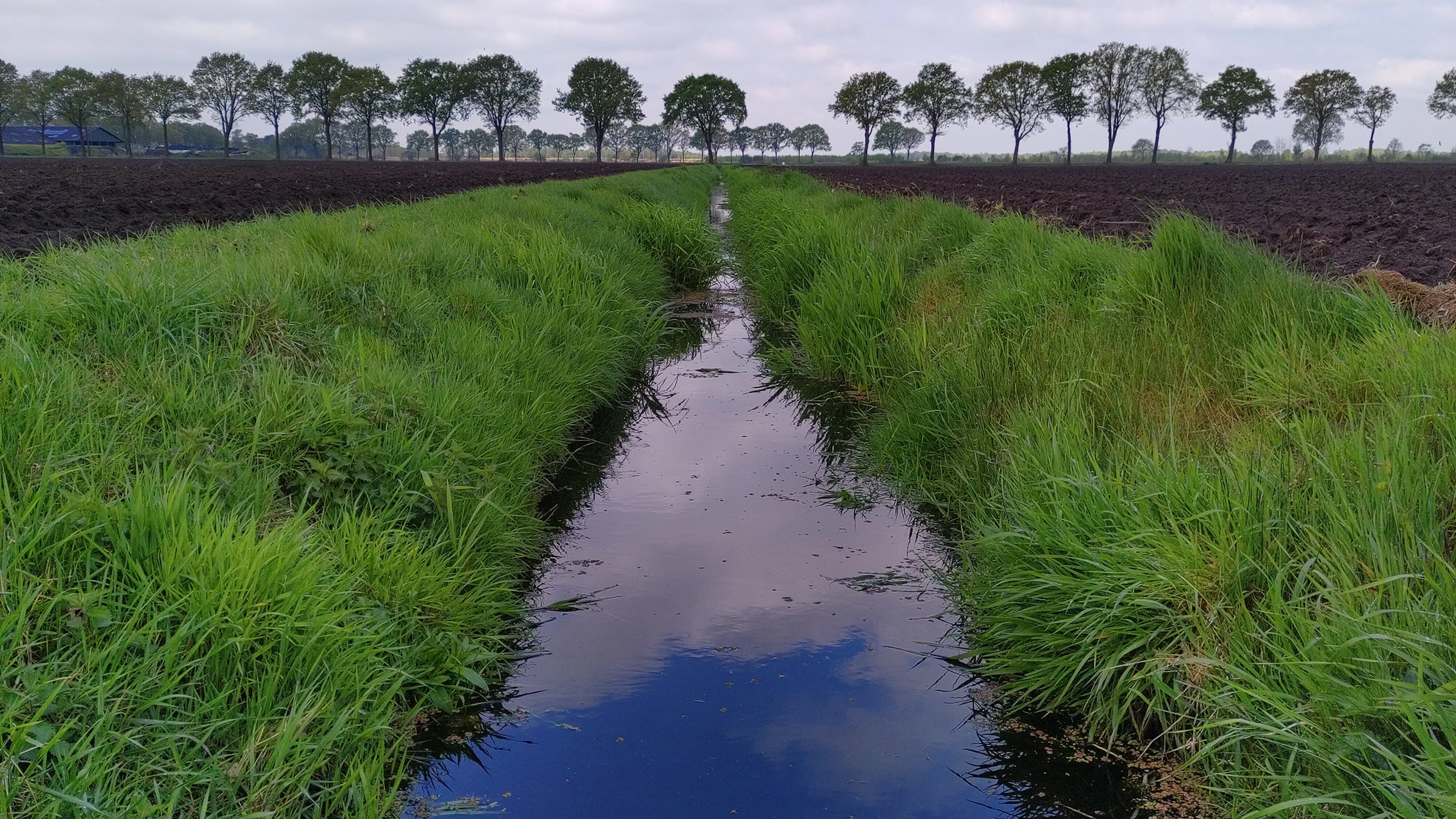 Gracht in landbouwgebied met grasstrook en akkers. Grachten in landbouwgebied voeren water af, maar kunnen ook gebruikt worden om de grondwaterstand te reguleren.