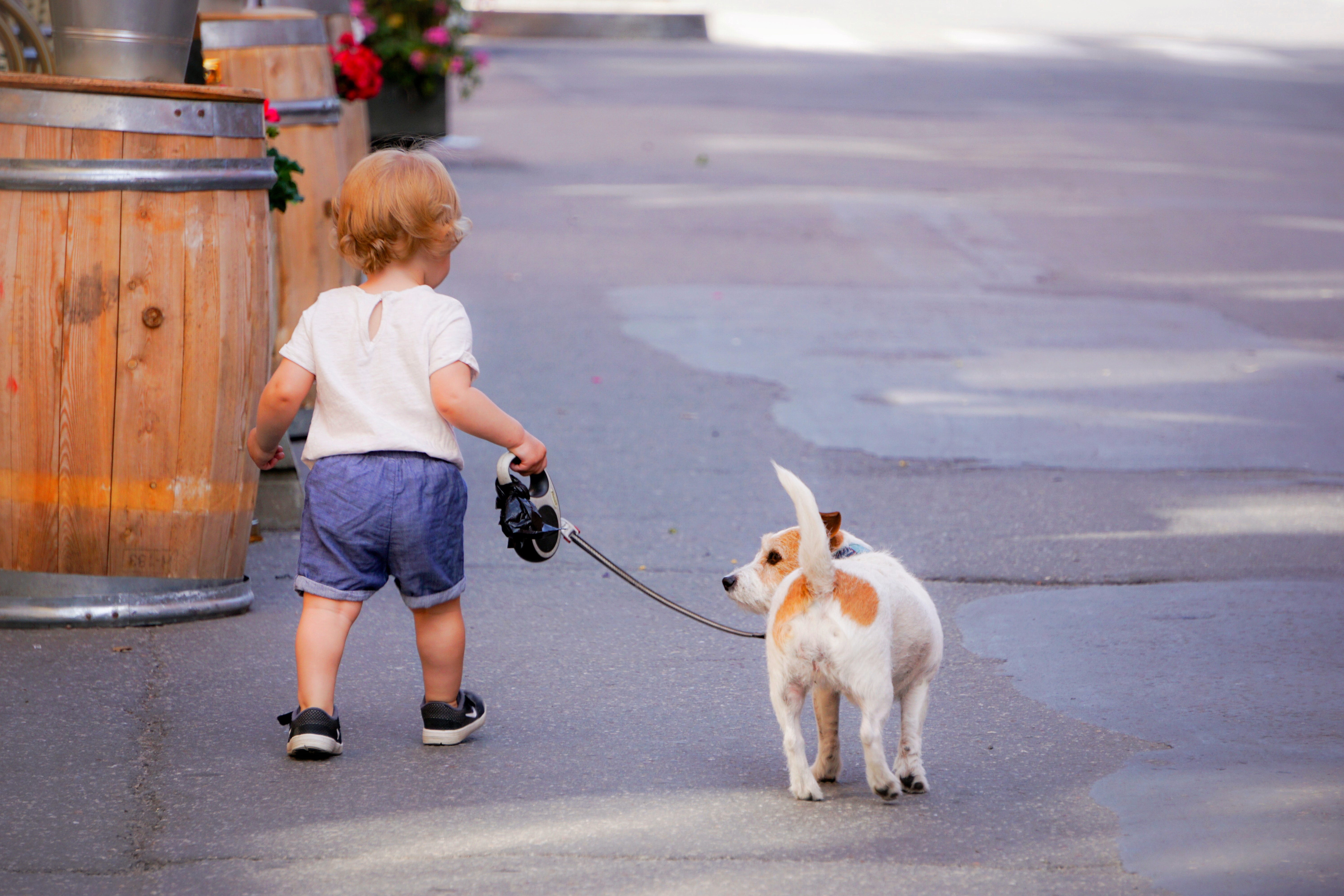 Beschermt een hond tegen astma en allergieën?