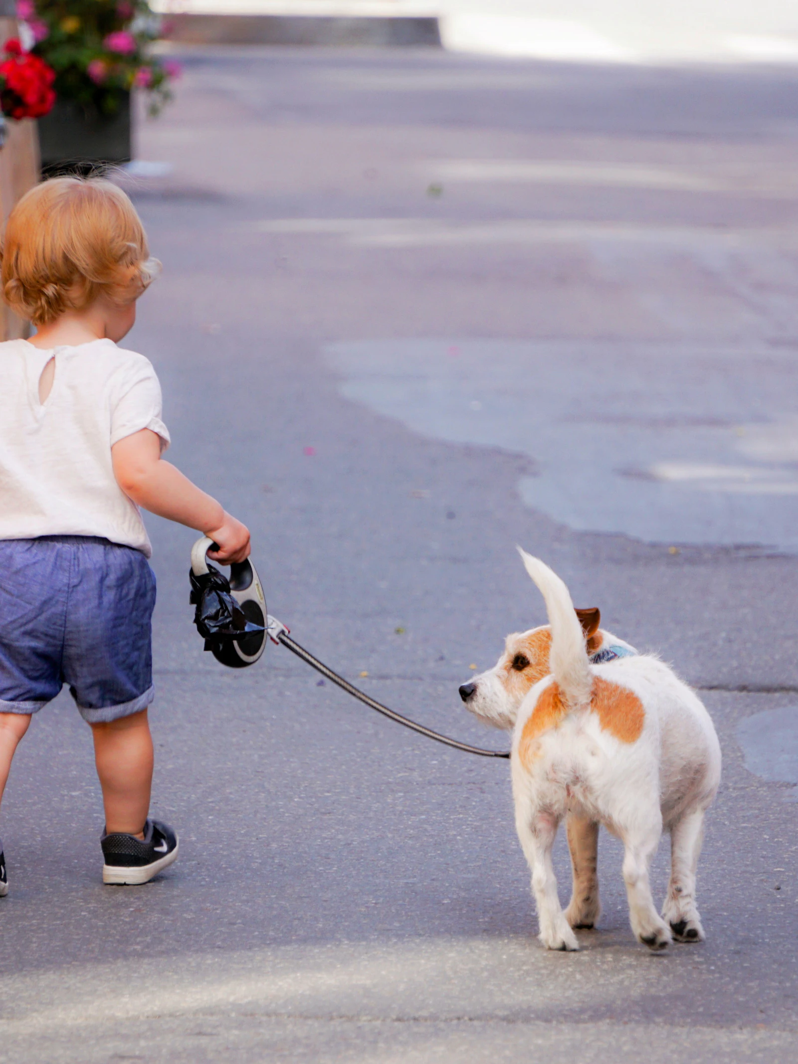 Beschermt een hond tegen astma en allergieën?