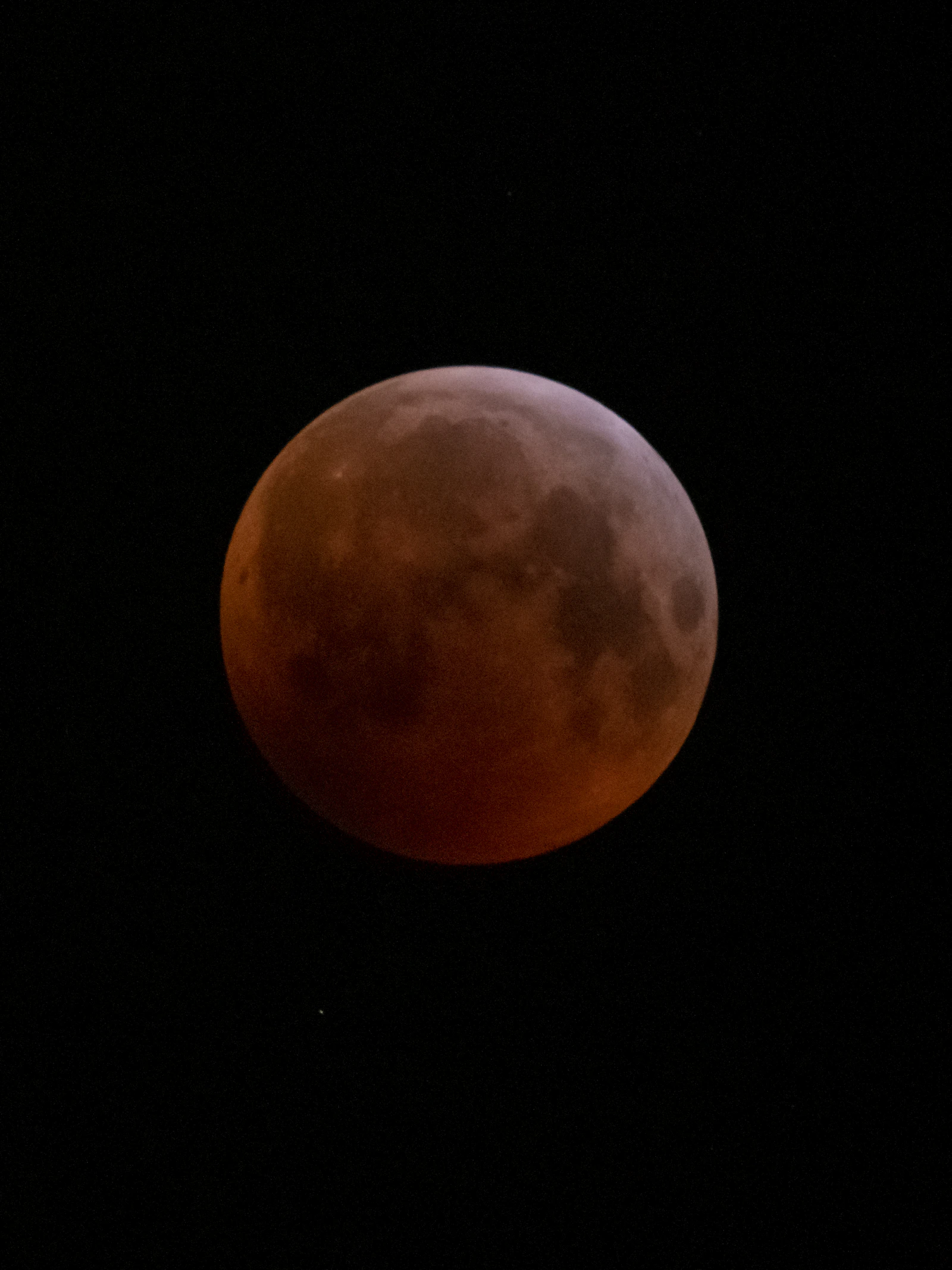 Totale maansverduistering op komst: waar en wanneer kan je ze zien?