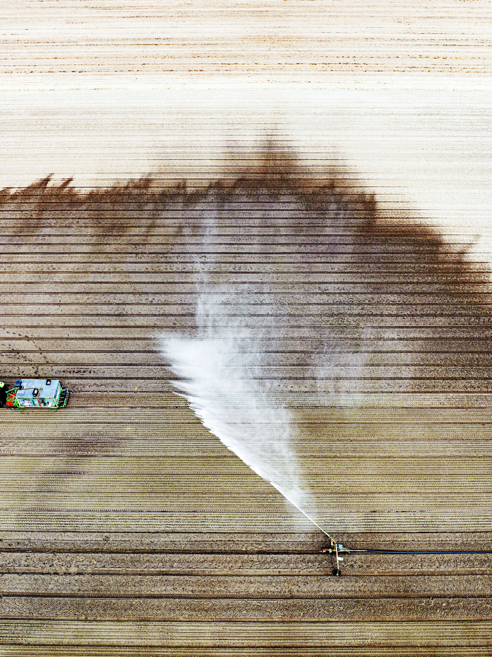 Zes vragen en antwoorden over de aanhoudende droogte