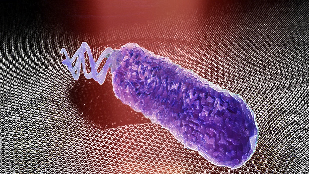 Bacterie op de drums test antibioticaresistentie