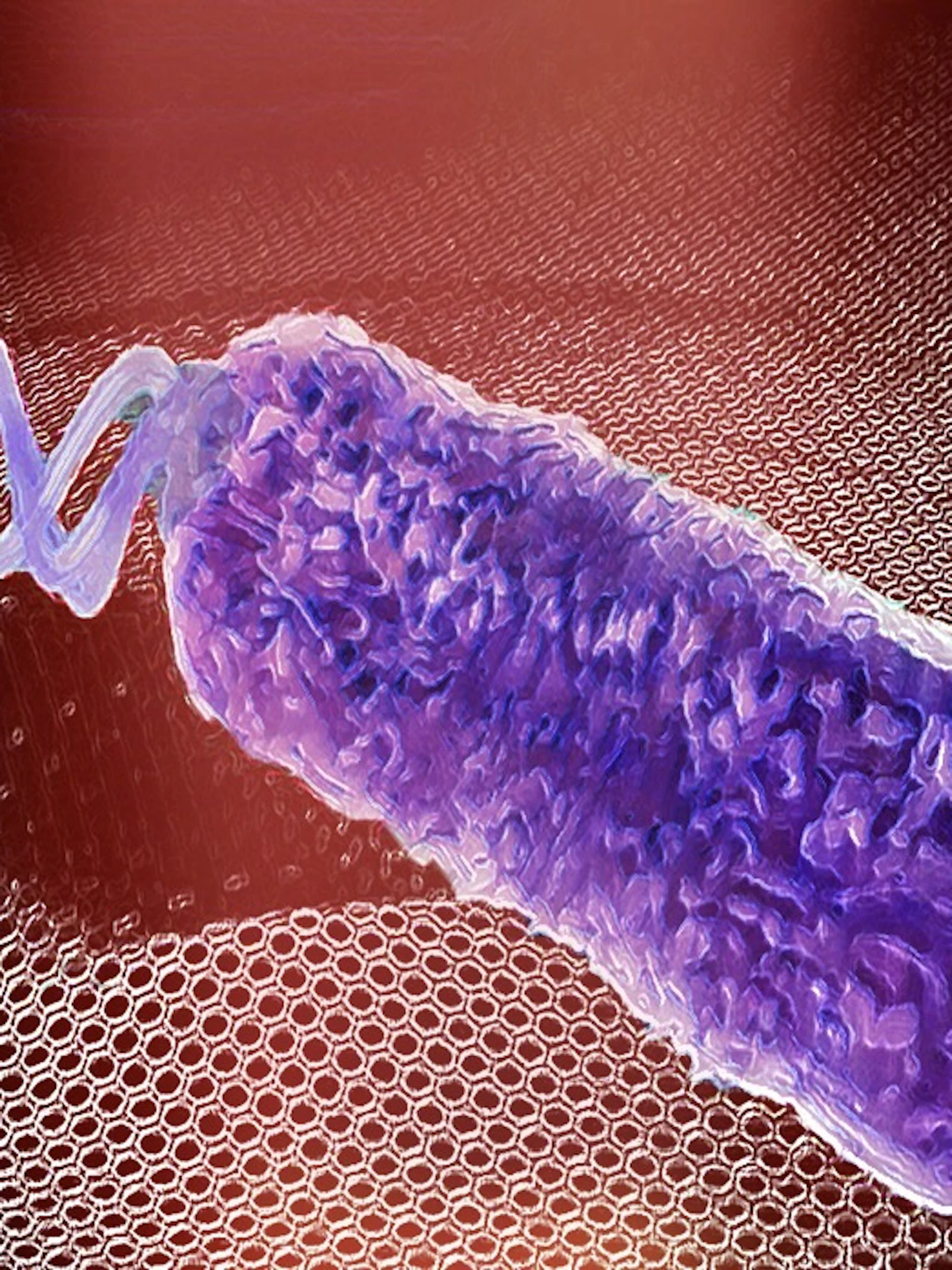 Bacterie op de drums test antibioticaresistentie