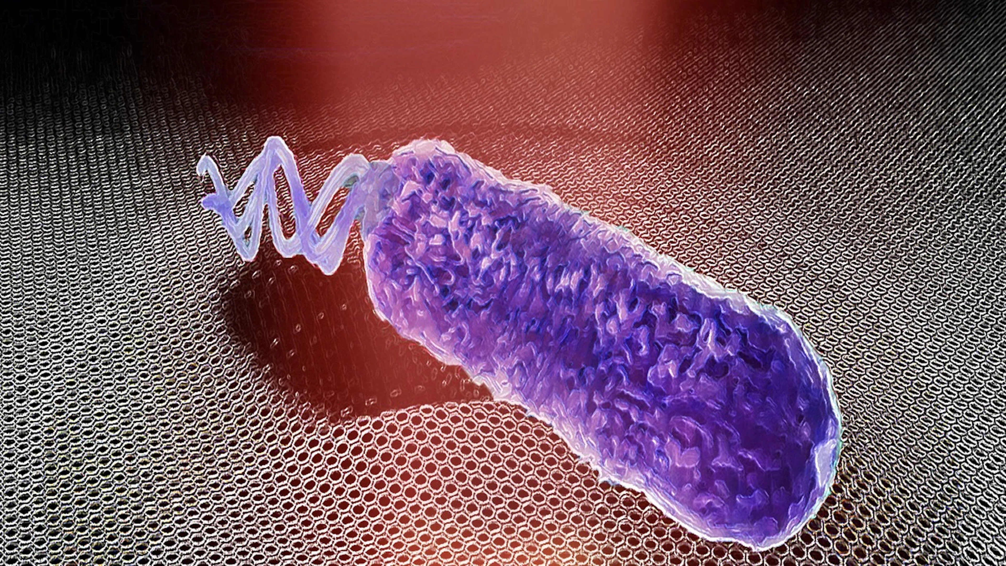 Bacterie op de drums test antibioticaresistentie