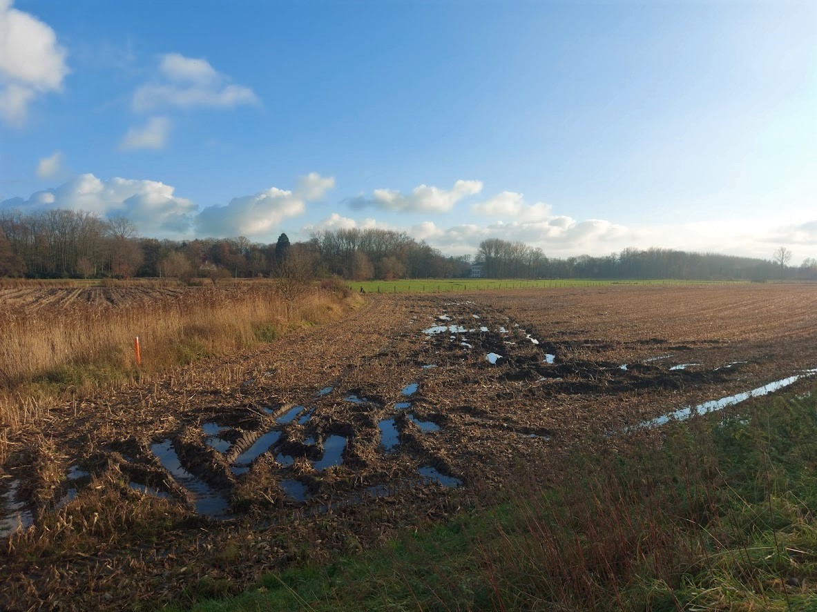 Waar machines moeten draaien op het veld (de kopakker) is het probleem van compactie het grootst.