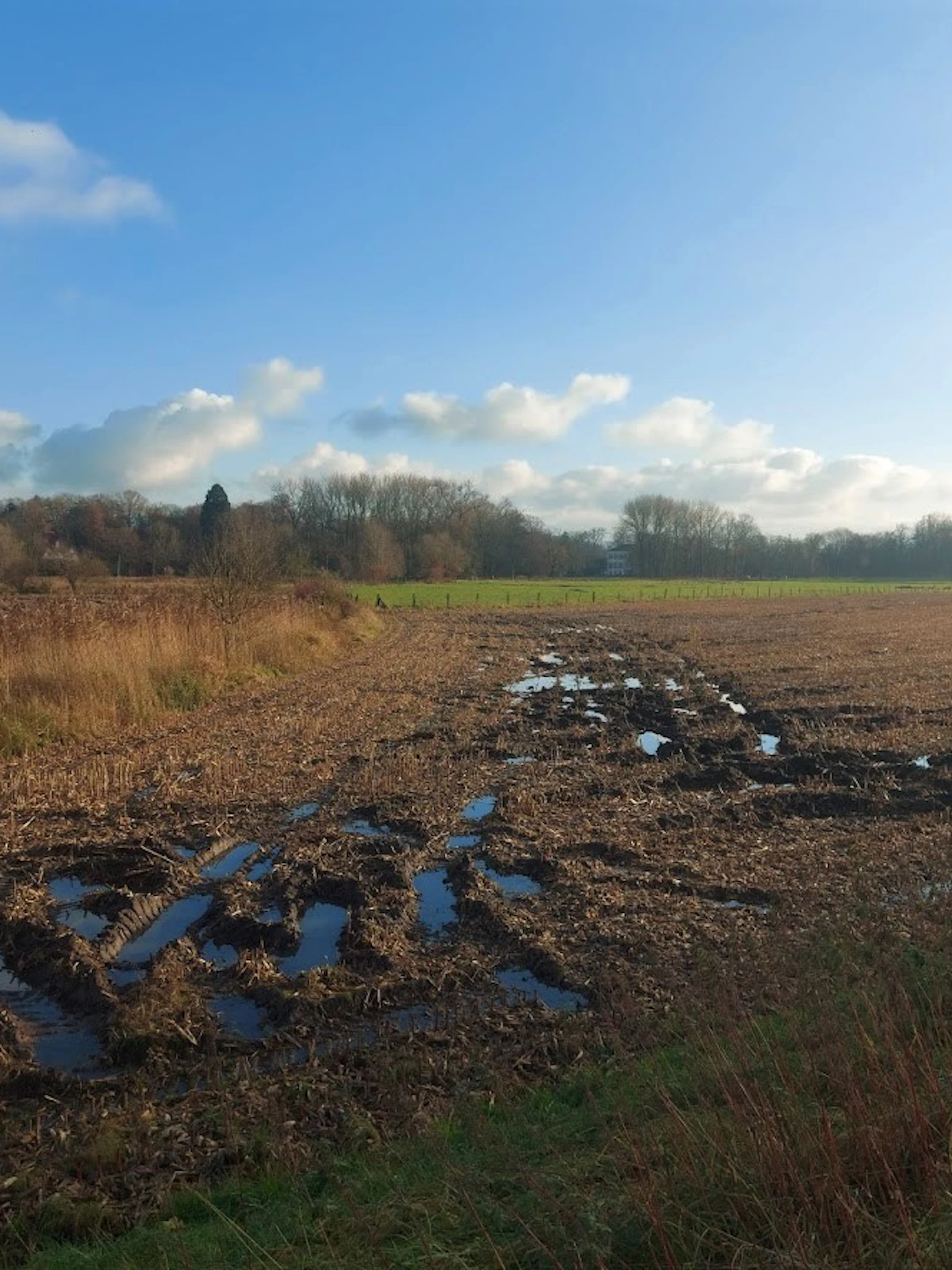 Waar machines moeten draaien op het veld (de kopakker) is het probleem van compactie het grootst.