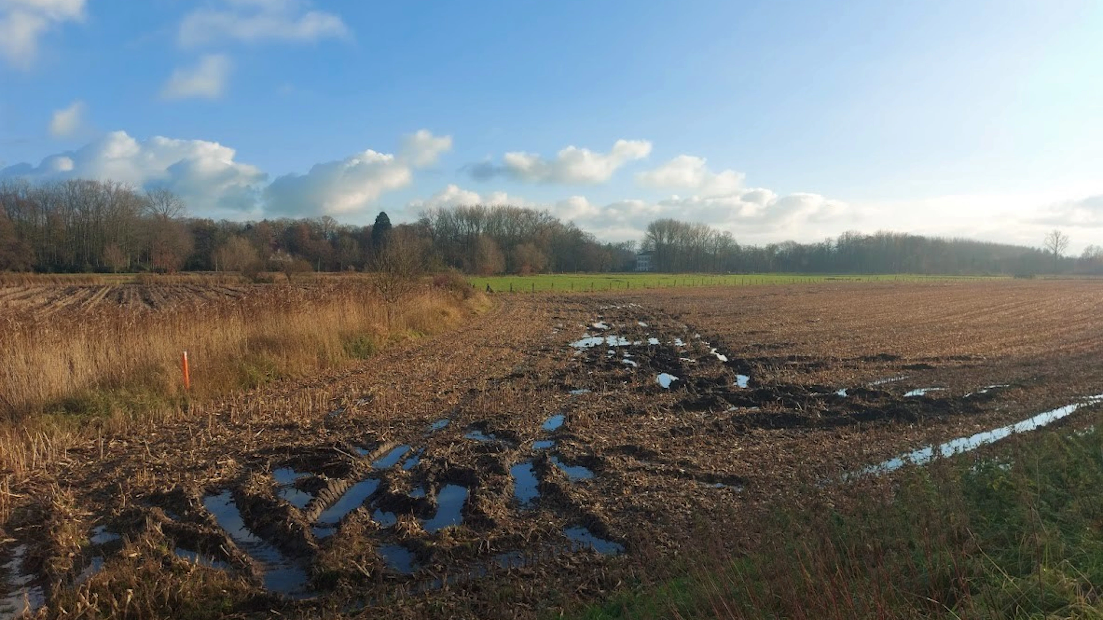 Waar machines moeten draaien op het veld (de kopakker) is het probleem van compactie het grootst.