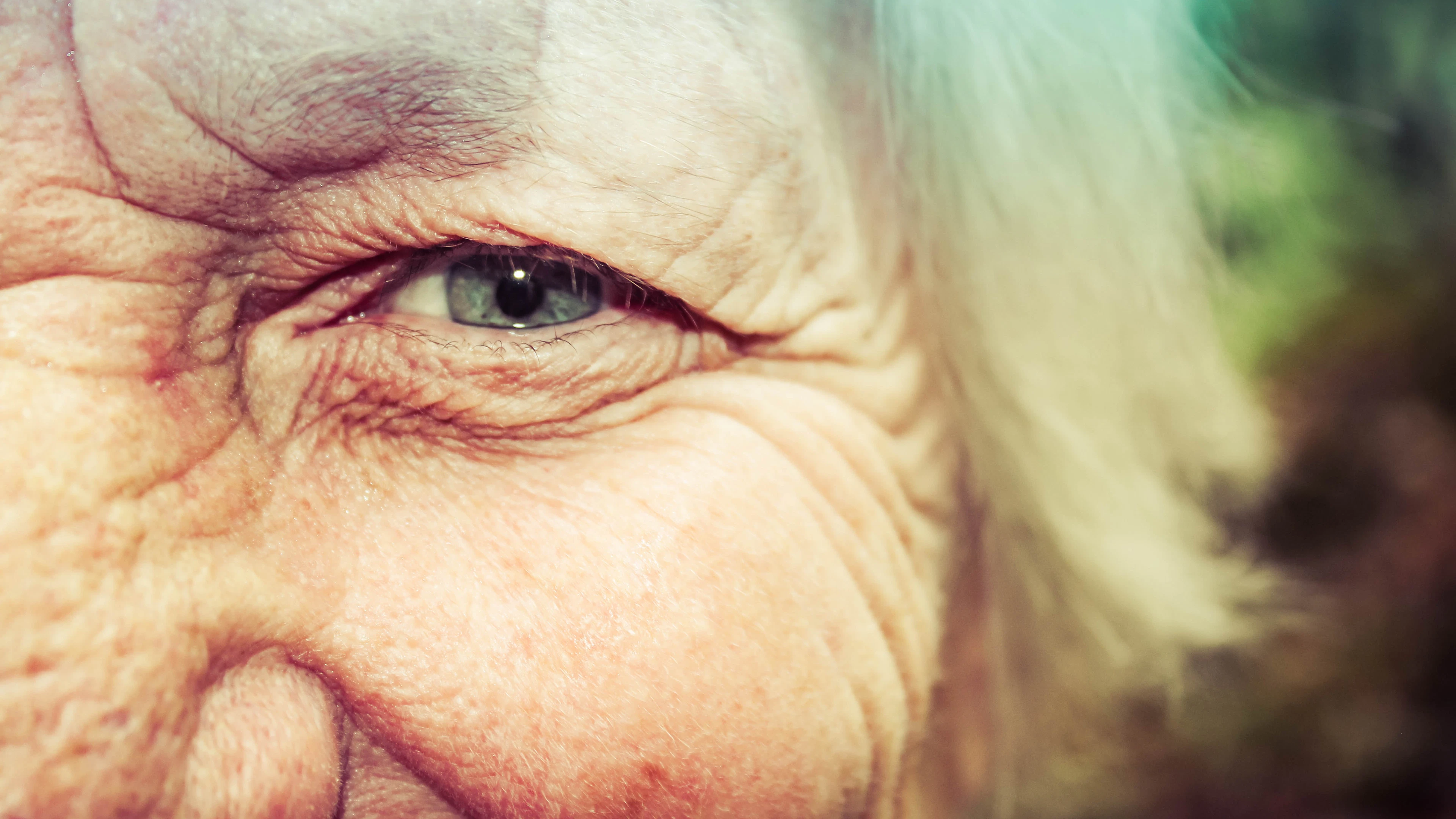 Eiwit countert oogziekte