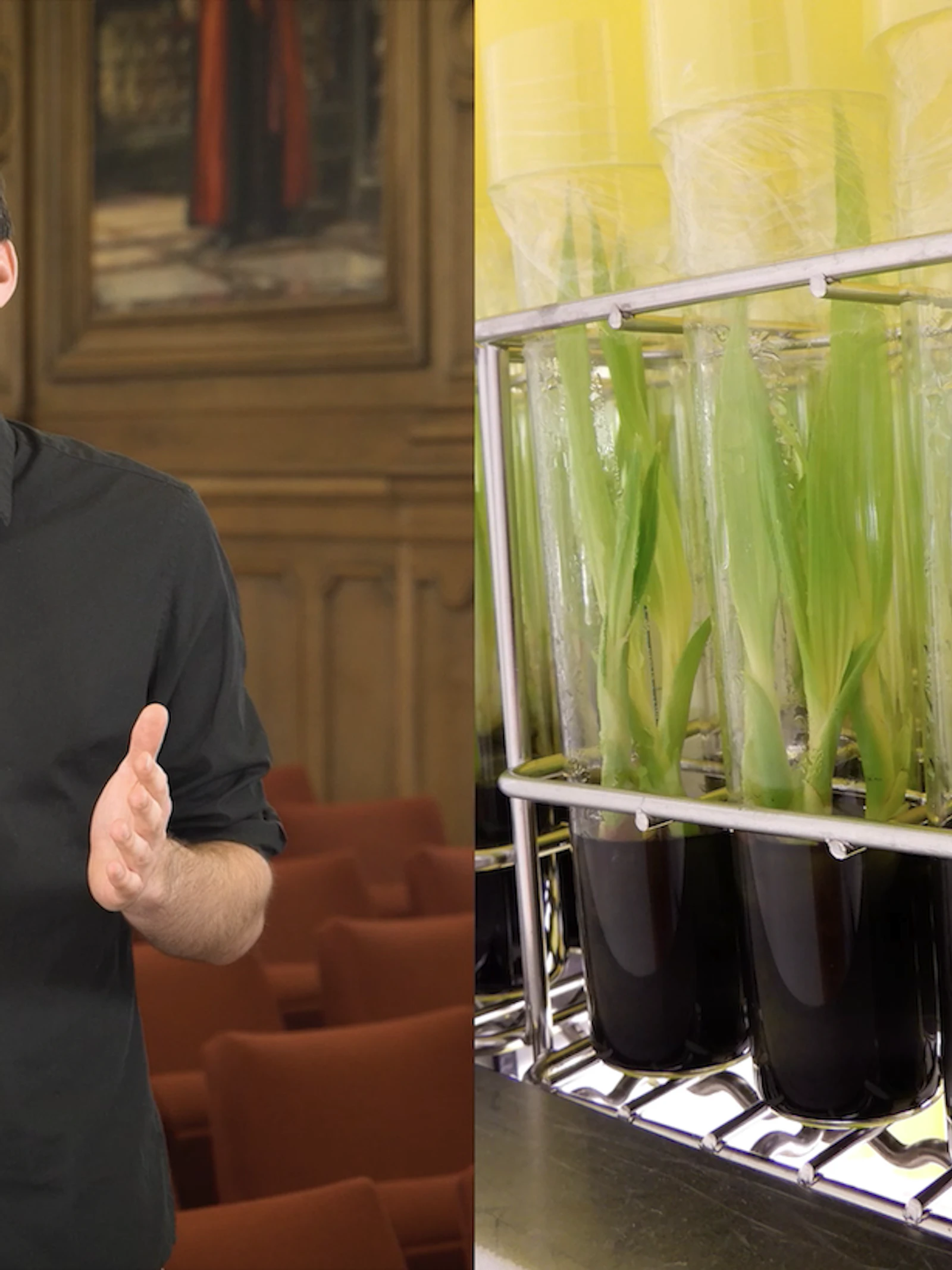 Boeren helpen door kokospalmen te klonen