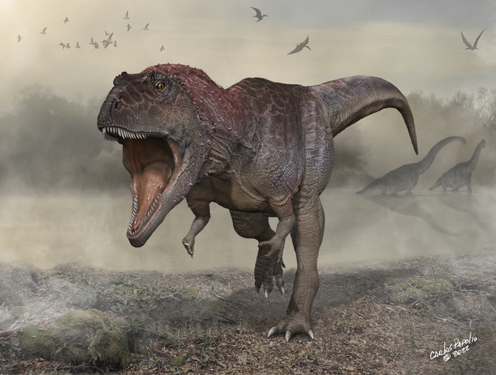 Nieuwe dinosoort met kleine armpjes ontdekt