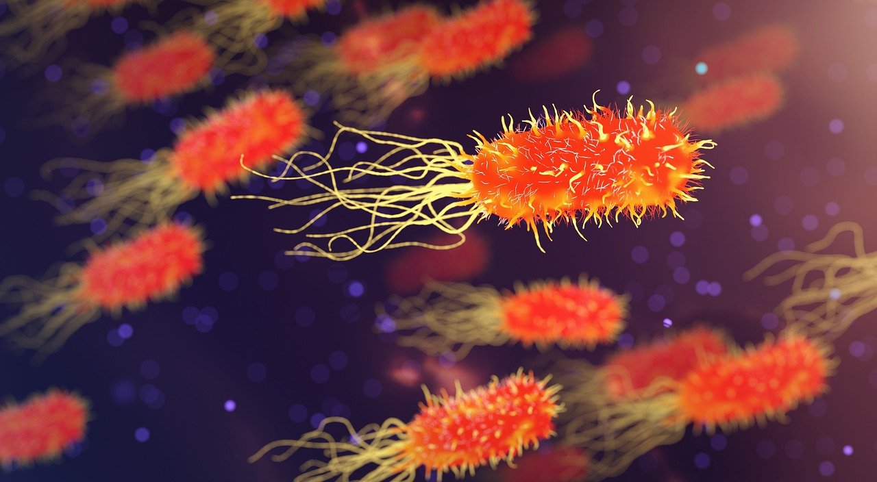 Meer infecties met ‘superbacteriën’ tijdens coronapandemie