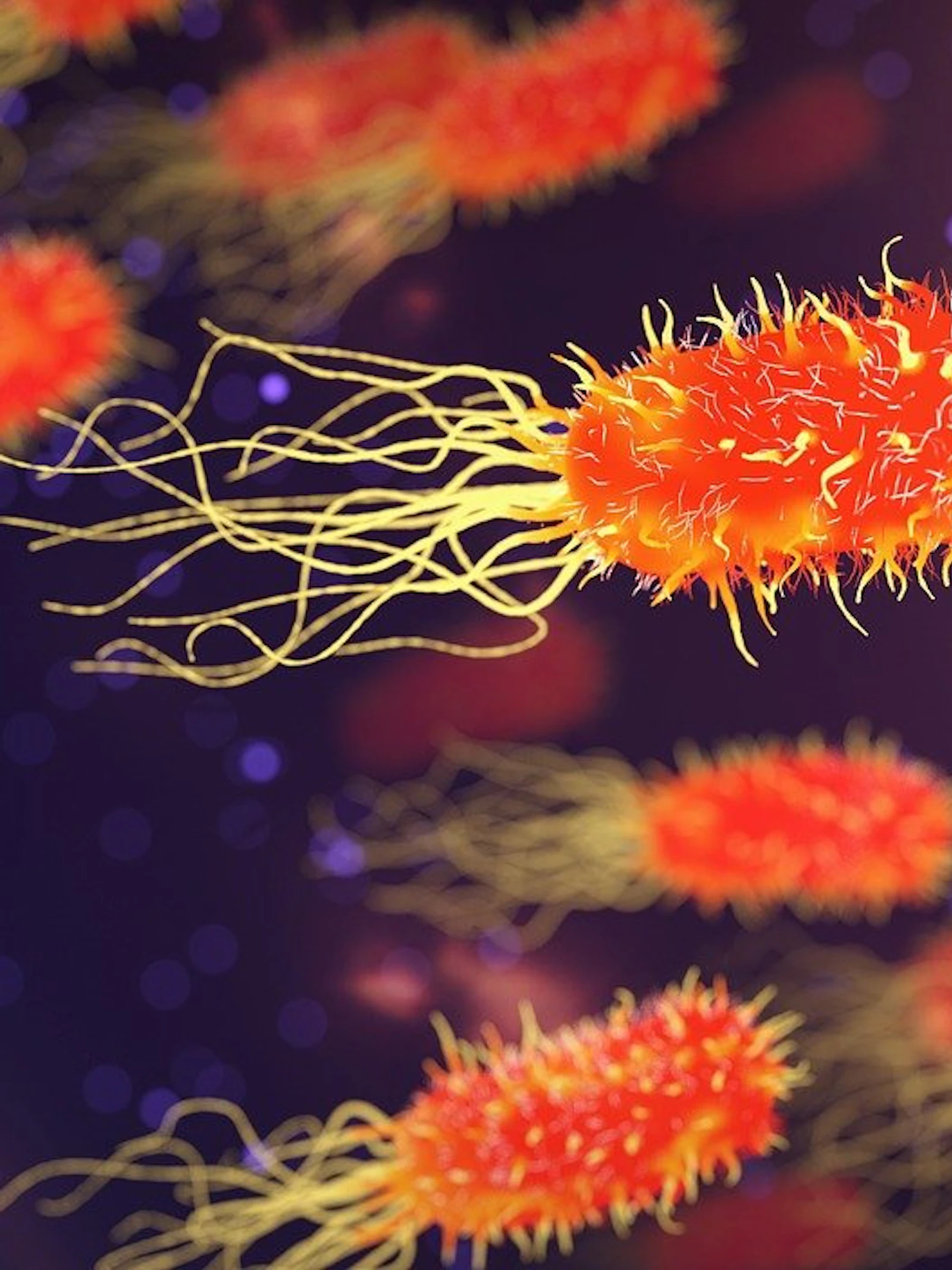 Meer infecties met ‘superbacteriën’ tijdens coronapandemie