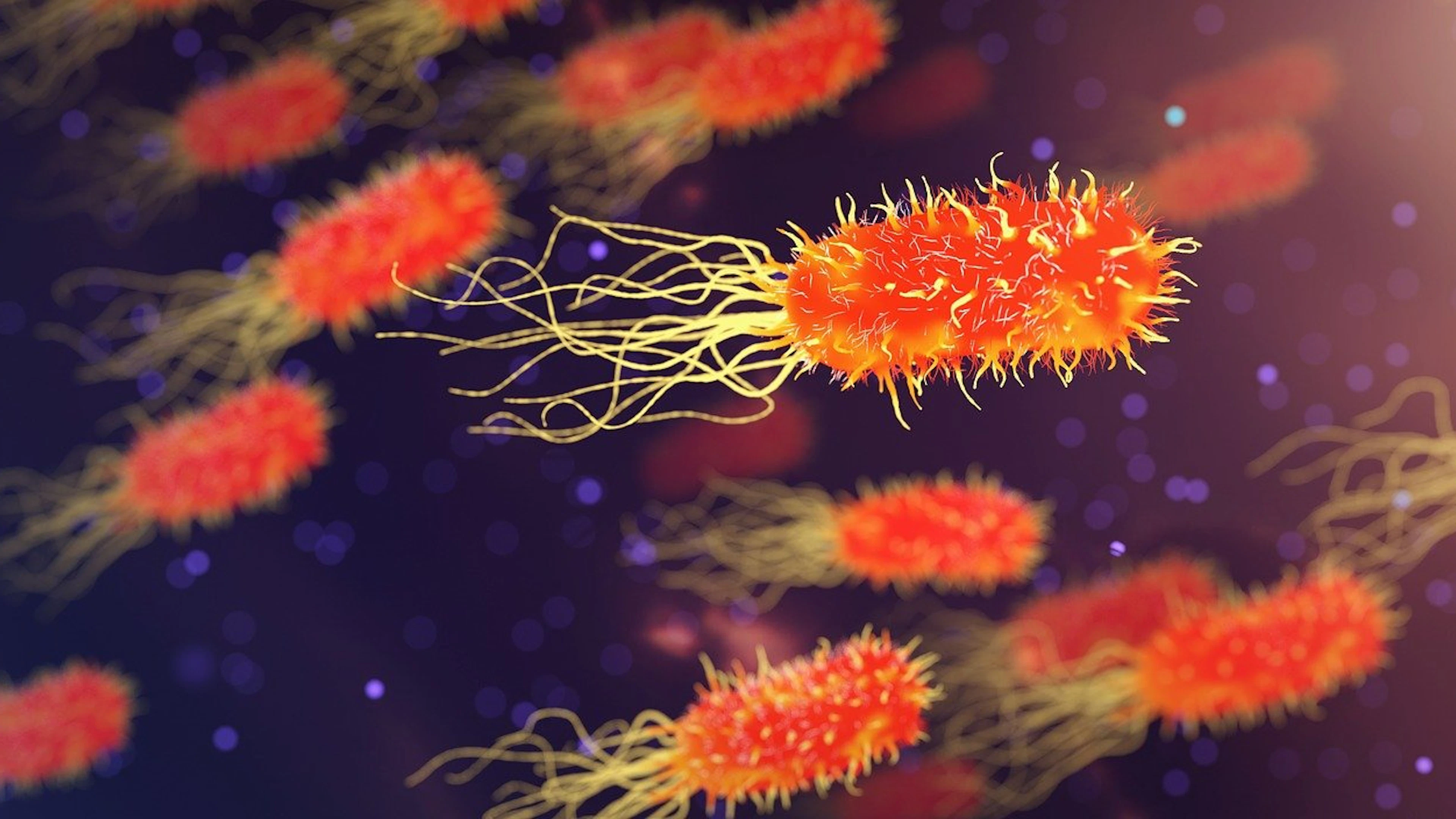Meer infecties met ‘superbacteriën’ tijdens coronapandemie