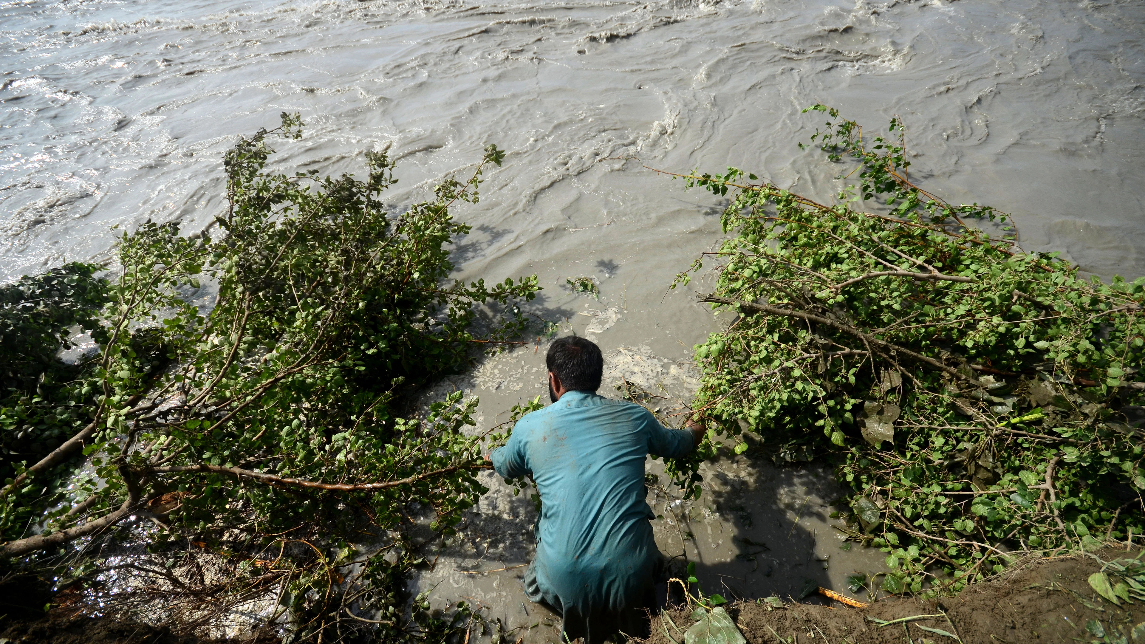Klimaatverandering geeft infectieziektes een duw in de rug