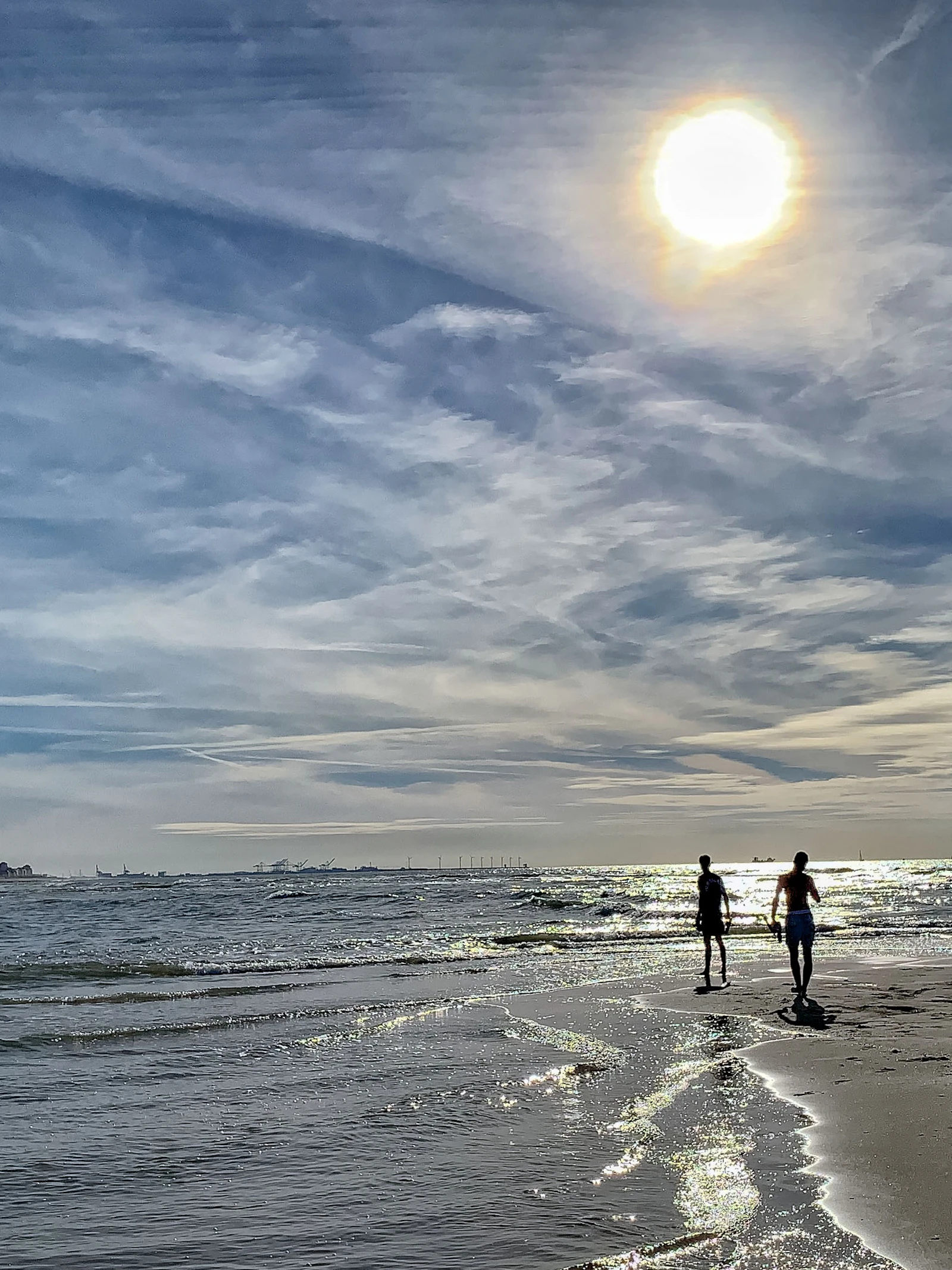 Herbekijk: Hoe staat het met de gezondheid van onze bossen en de zee?