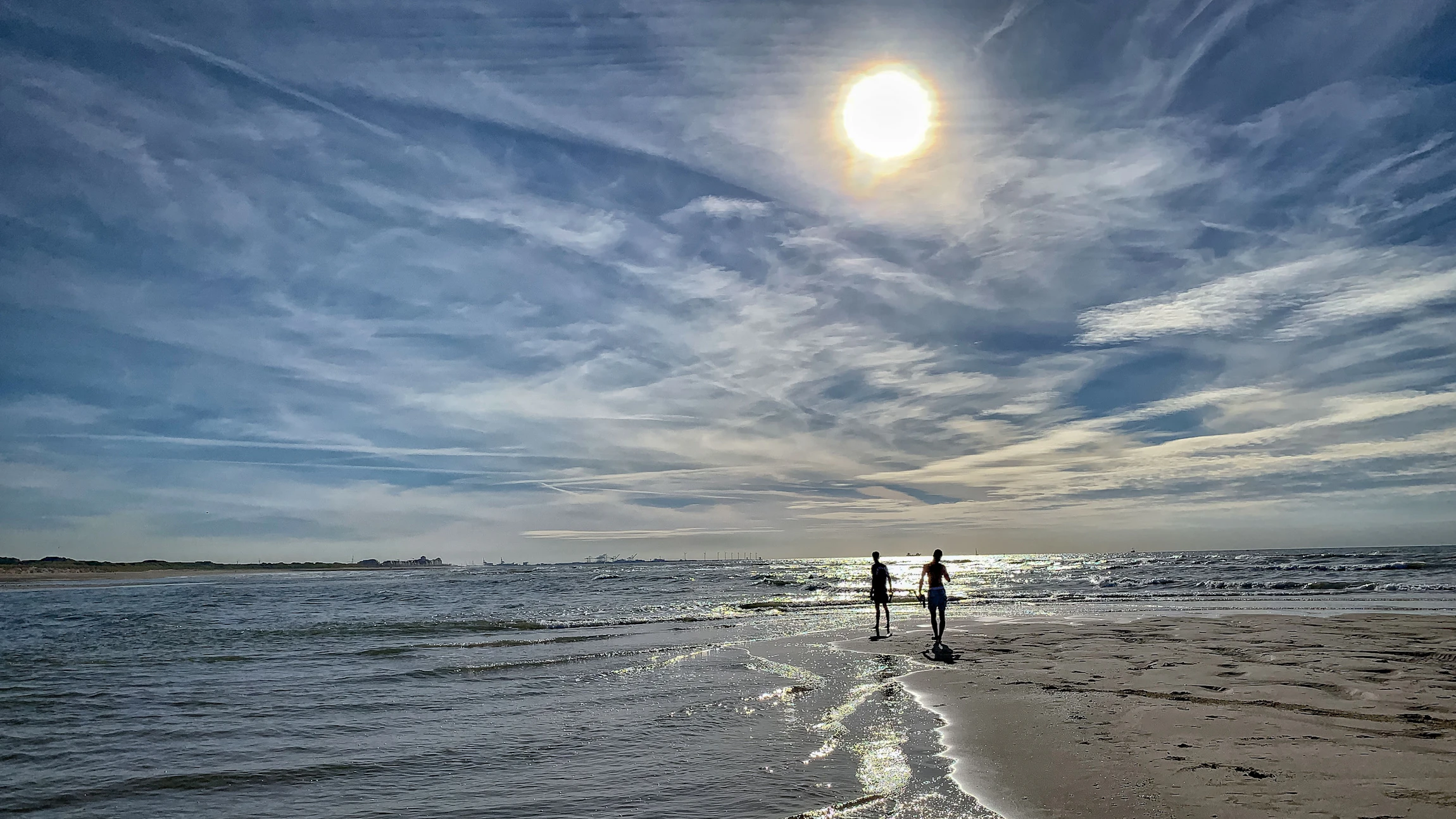 Herbekijk: Hoe staat het met de gezondheid van onze bossen en de zee?