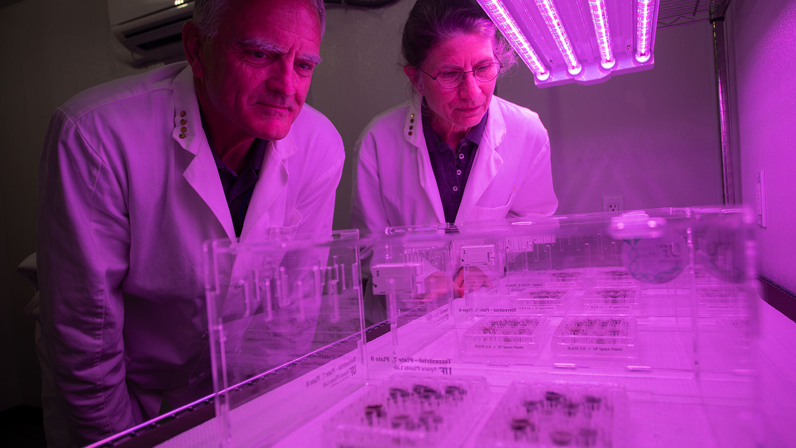 Wetenschappers kweken voor het eerst planten in maanaarde