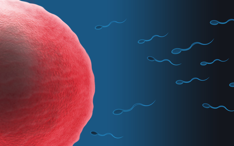 Nieuwe vorm van anticonceptie in ontwikkeling: vaginale gel blokkeert sperma