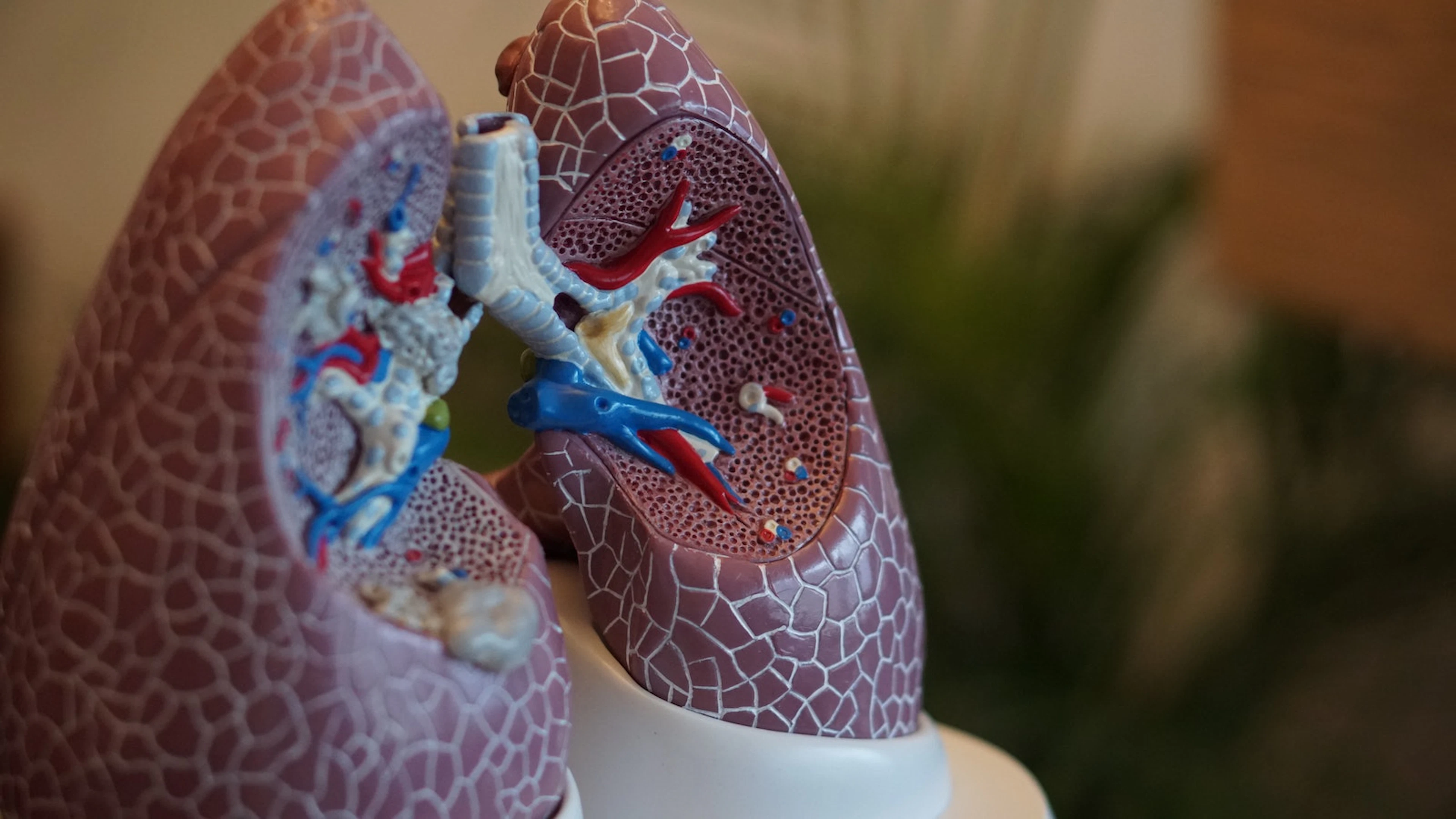 Vooruitblik 2023 - Microbioom of afweersysteem: wat is verantwoordelijk voor longziektes?