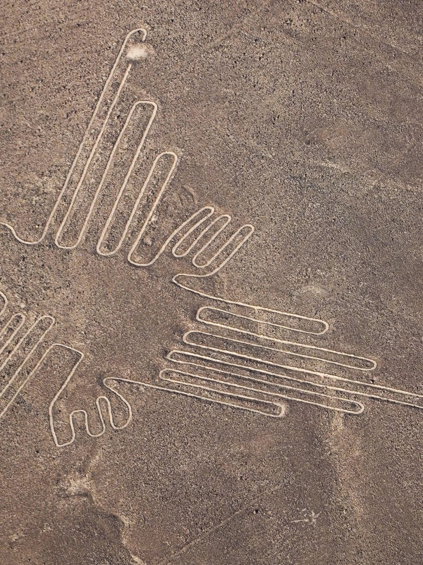 Vergeet aliens. Buitenaards leven ziet er wellicht onherkenbaar uit