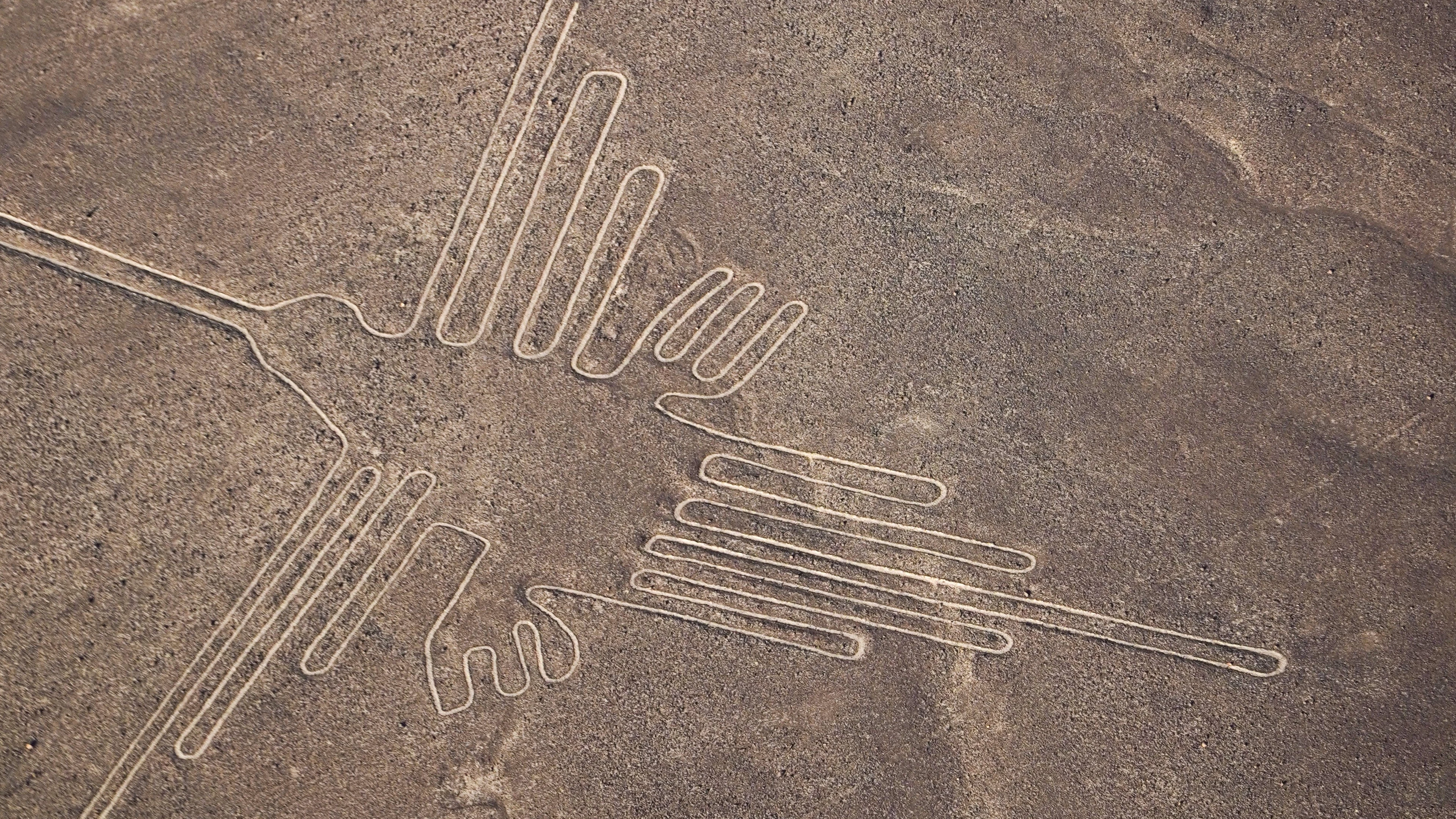 Vergeet aliens. Buitenaards leven ziet er wellicht onherkenbaar uit