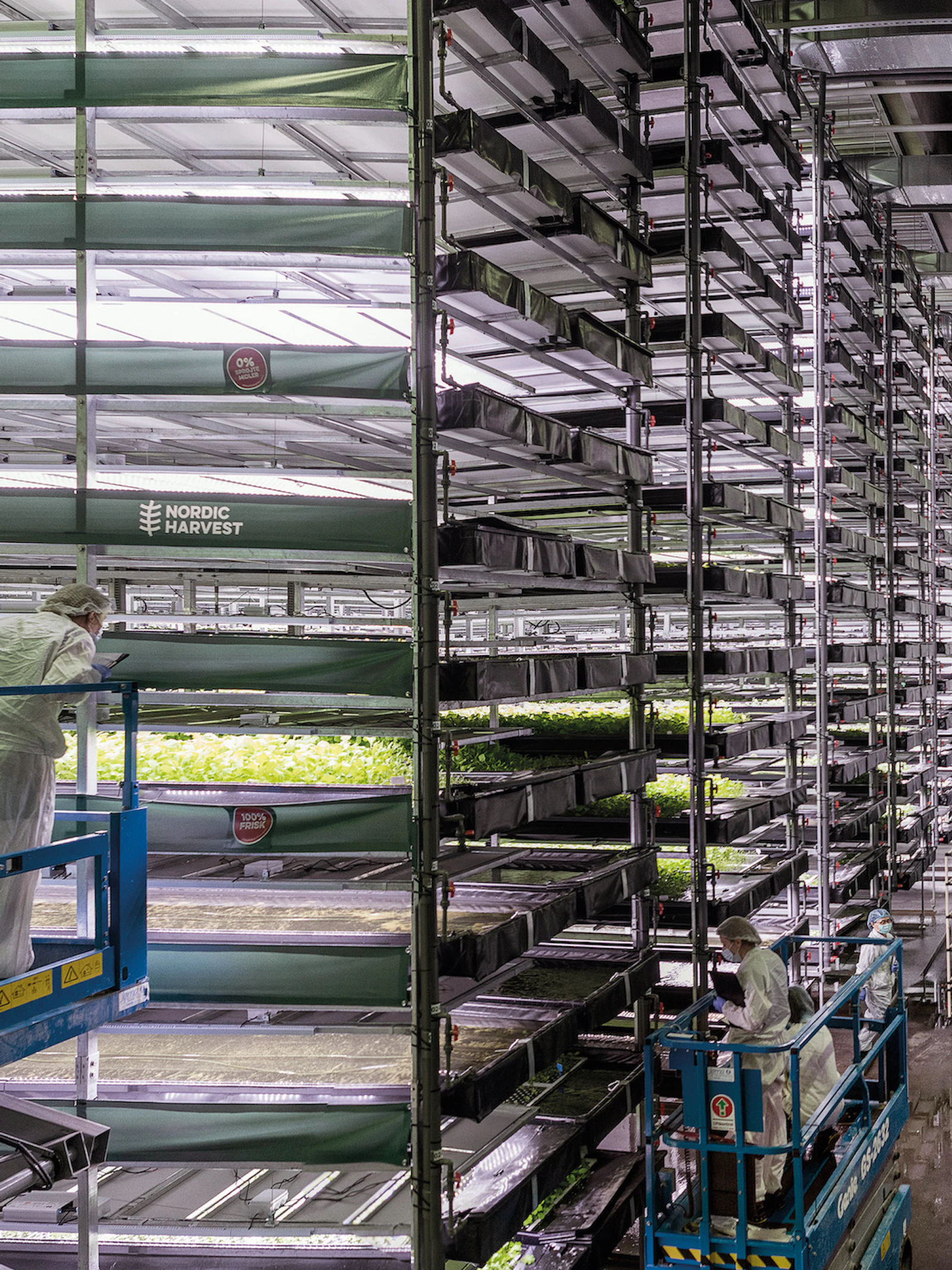 ’t Is altijd lente op de verticale boerderij