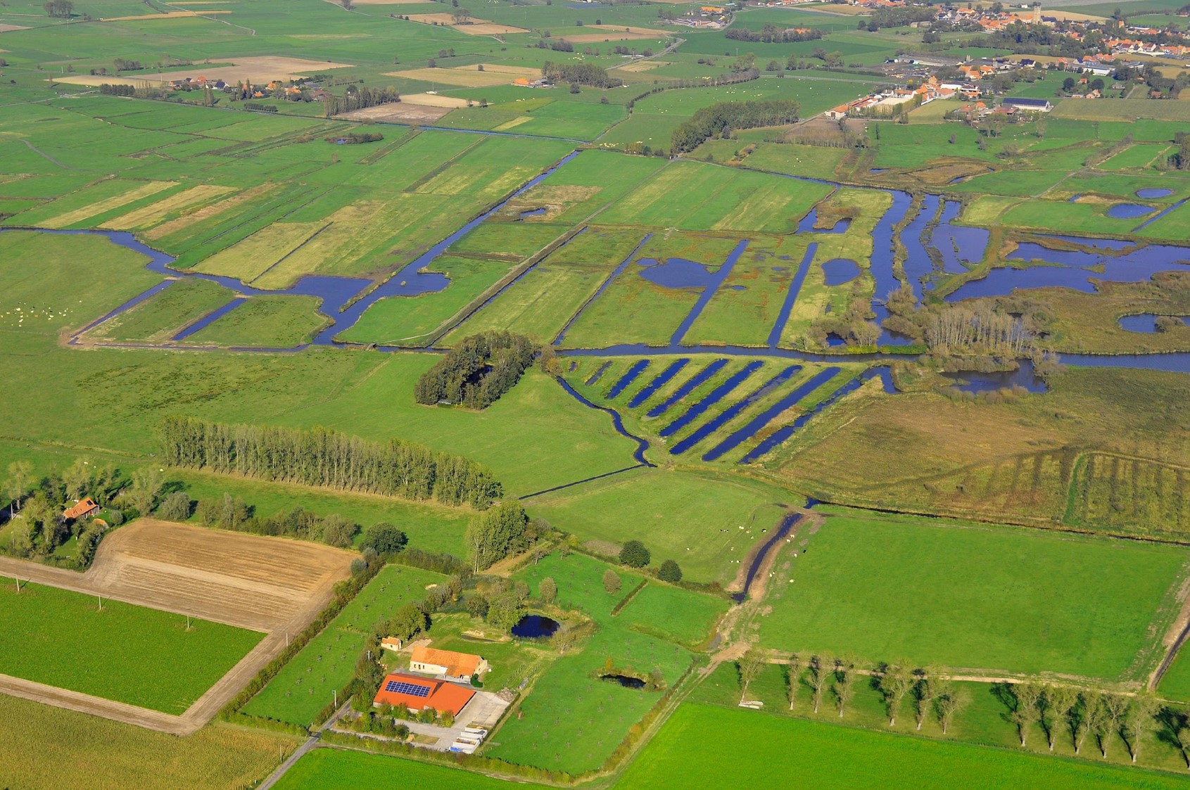 Natuurgebied De Blankaart in Diksmuide, België waar vernatting plaatsvindt.