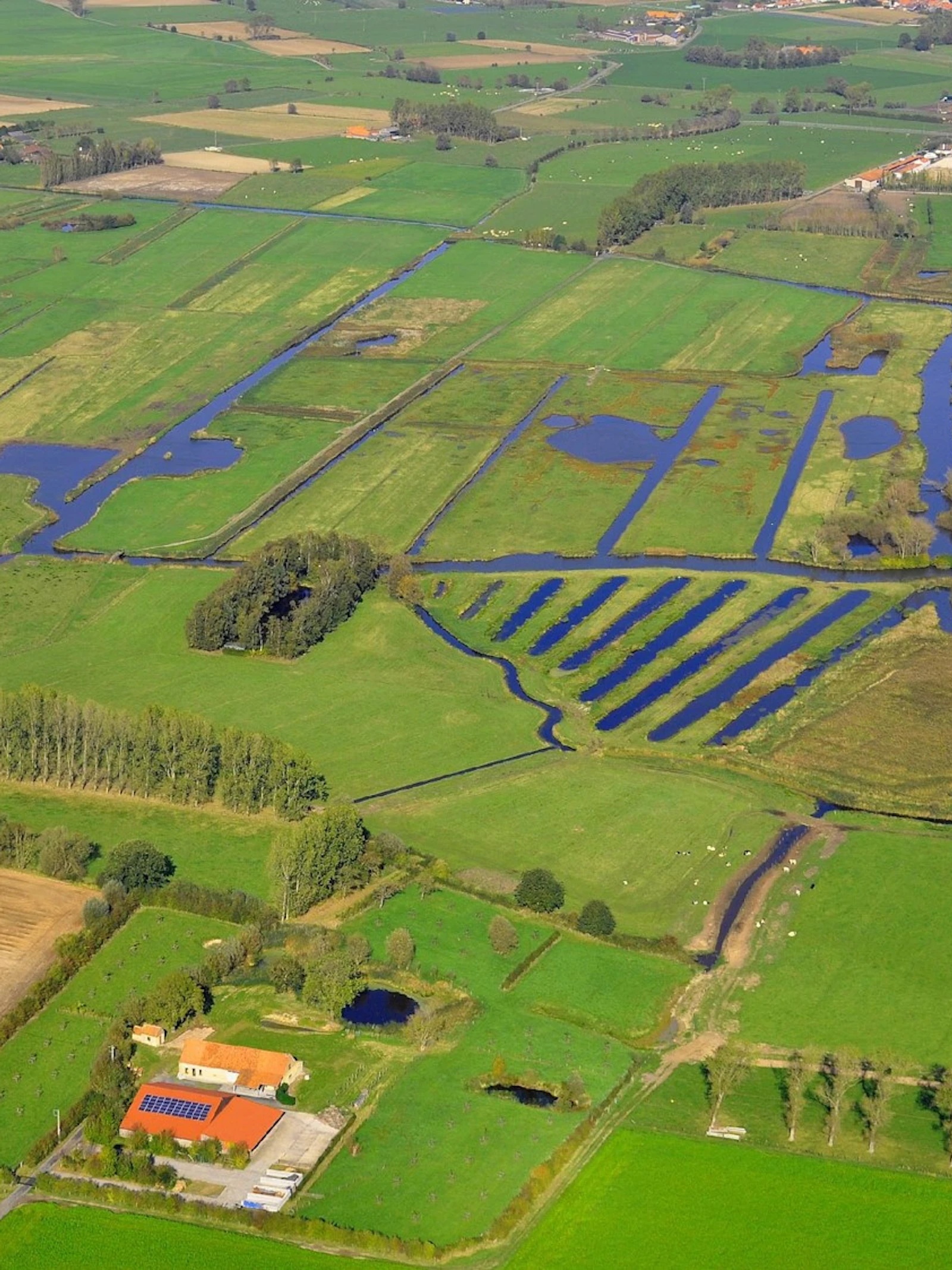 Luchtfoto boven natuurgebied De Blankaart in Diksmuide, België Natuurgebied De Blankaart in Diksmuide, België waar vernatting plaatsvindt.