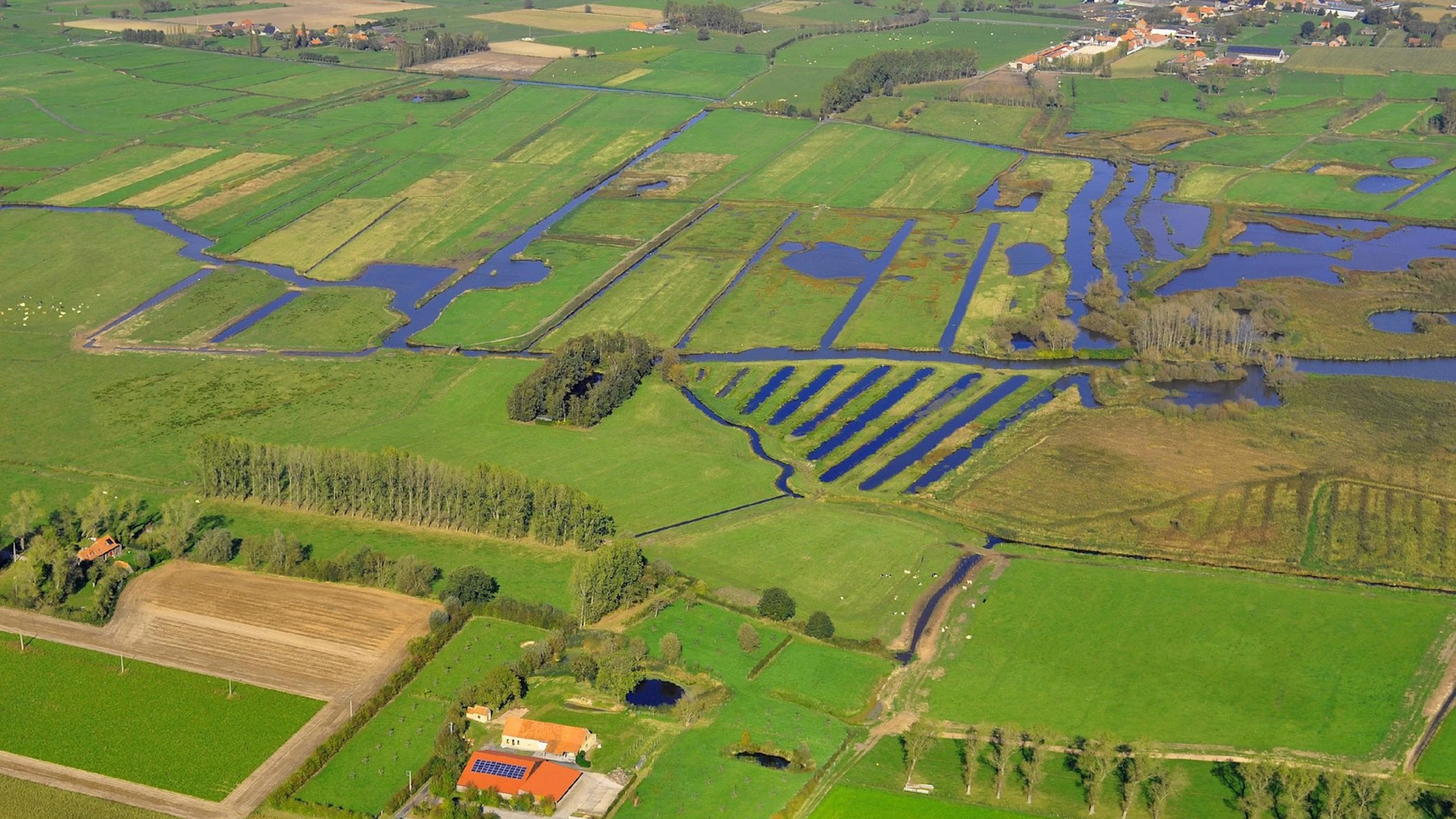 Luchtfoto boven natuurgebied De Blankaart in Diksmuide, België Natuurgebied De Blankaart in Diksmuide, België waar vernatting plaatsvindt.