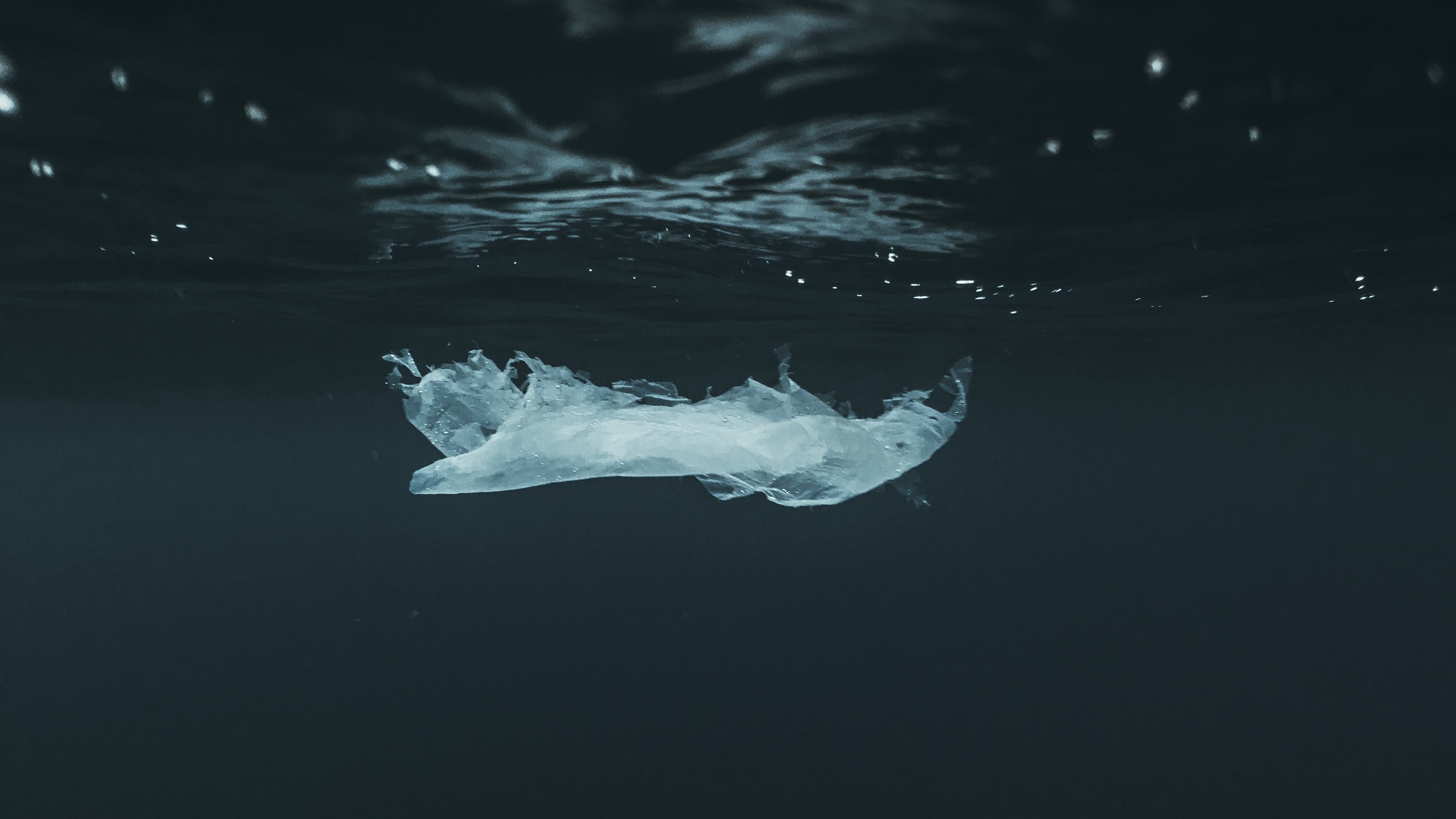 Plastic-etende bacteriën breken afval in zeewater af