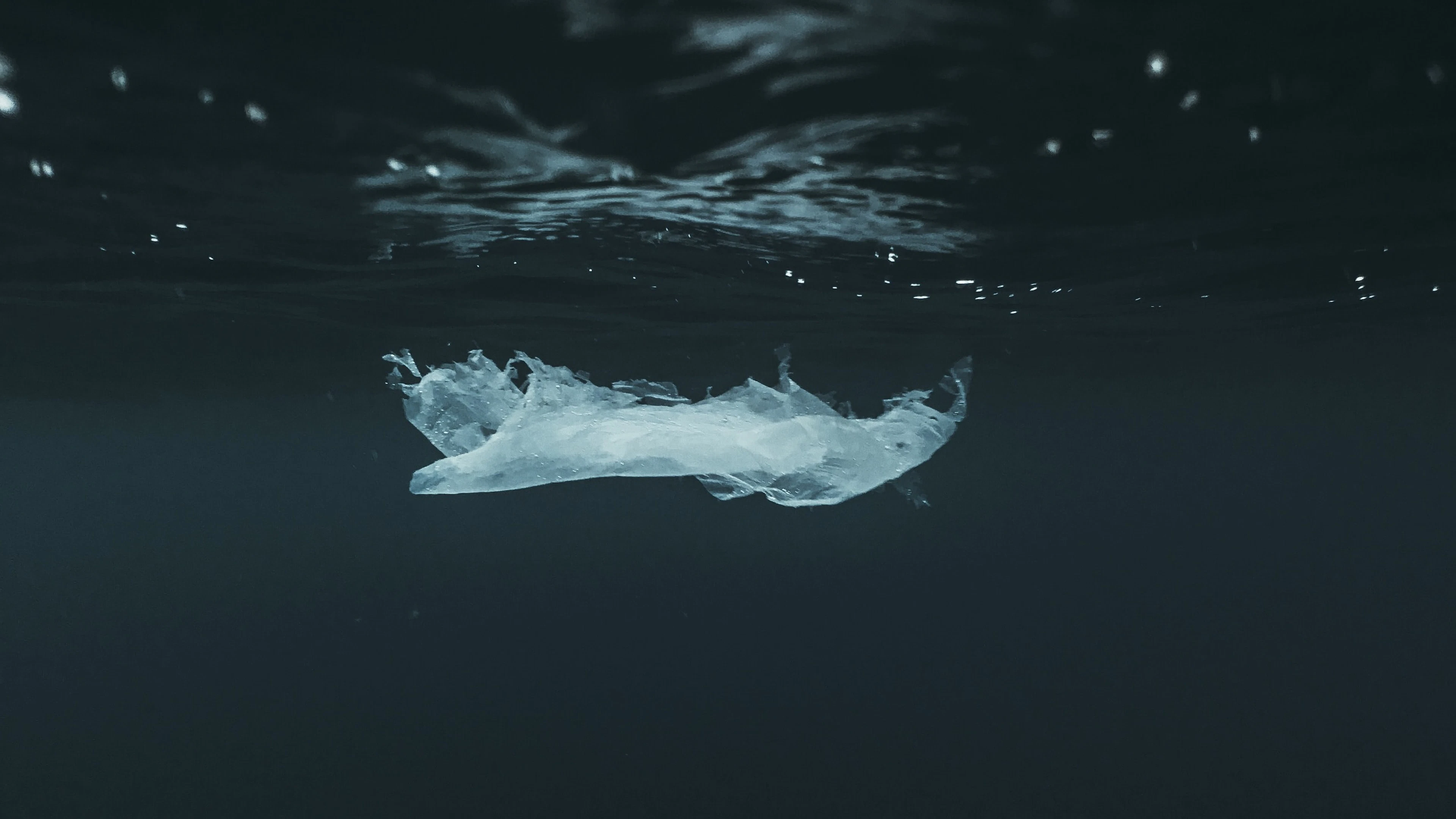 Plastic-etende bacteriën breken afval in zeewater af