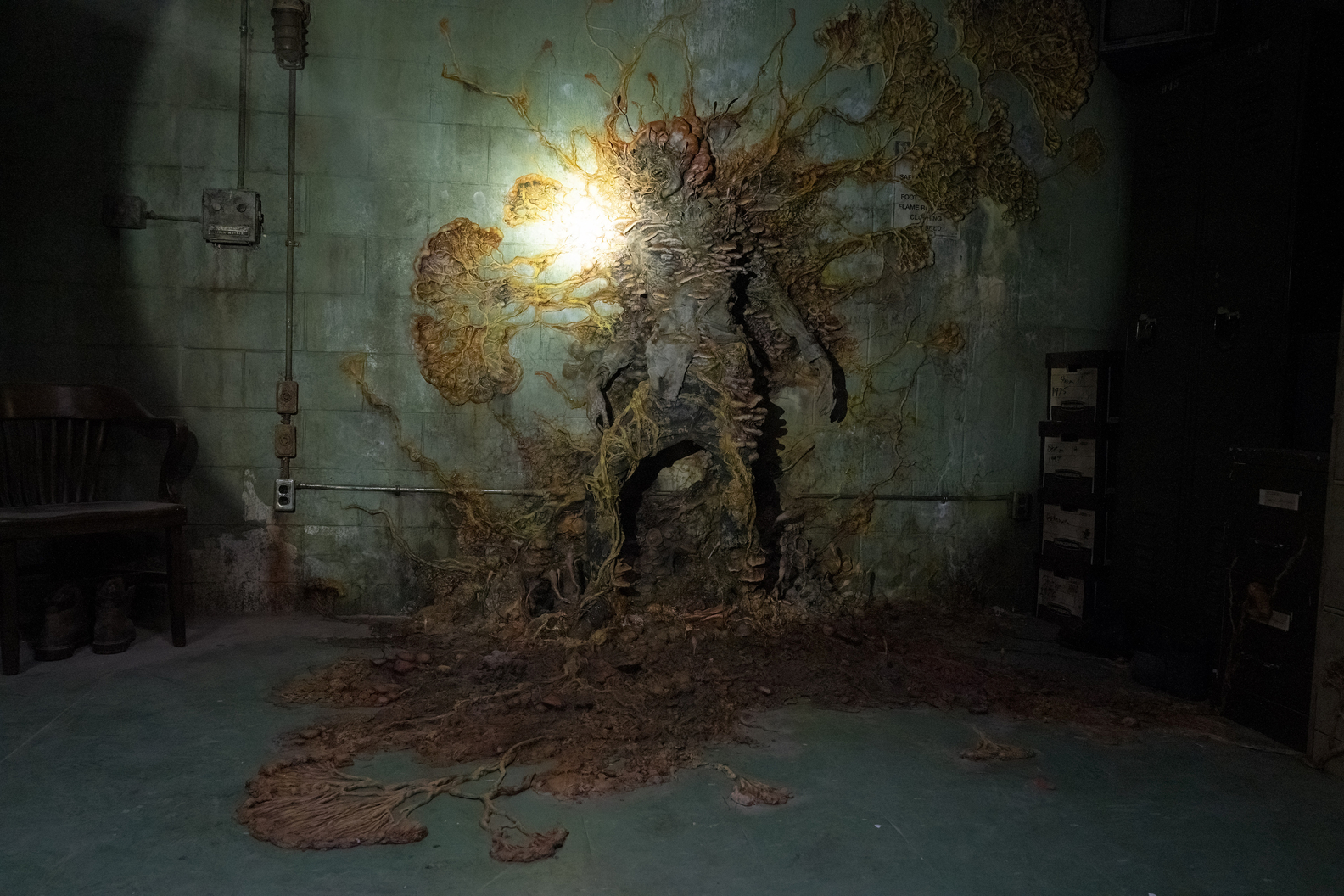 Kunnen schimmels echt zo gevaarlijk worden als in ‘The Last Of Us’?