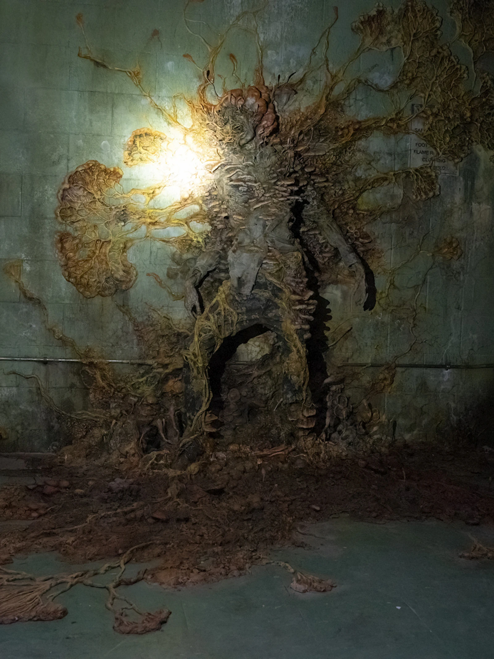Kunnen schimmels echt zo gevaarlijk worden als in ‘The Last Of Us’?