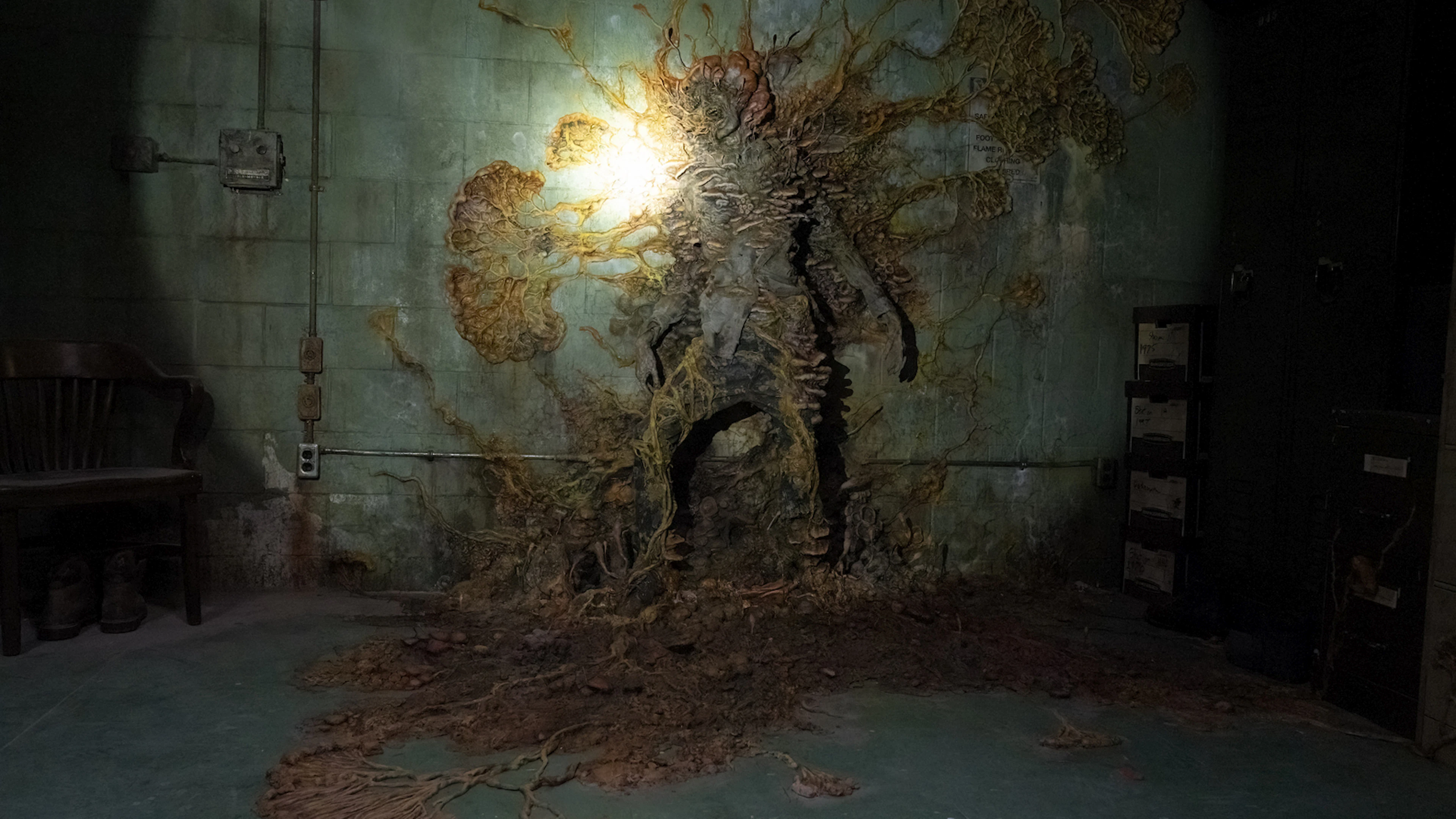Kunnen schimmels echt zo gevaarlijk worden als in ‘The Last Of Us’?