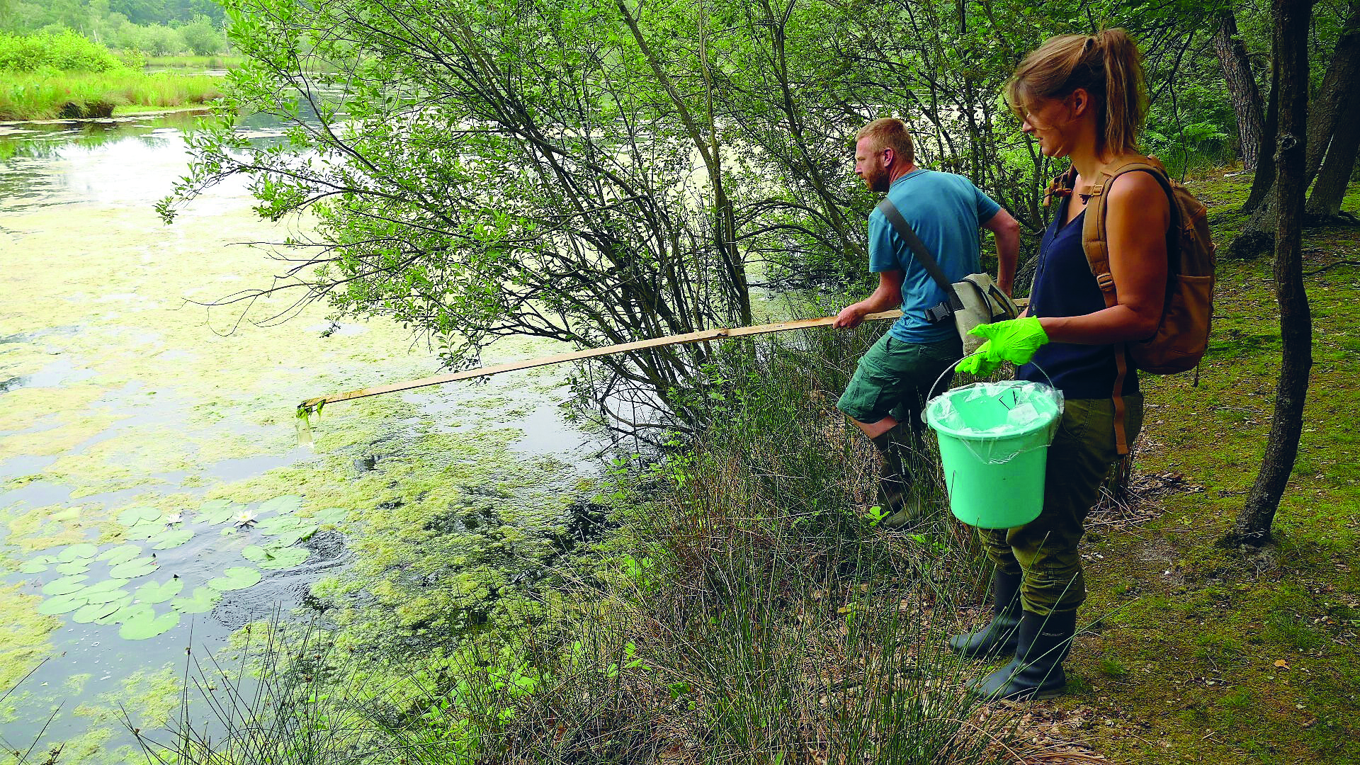 Eén waterstaal volstaat om biodiversiteit in waterloop in kaart te brengen