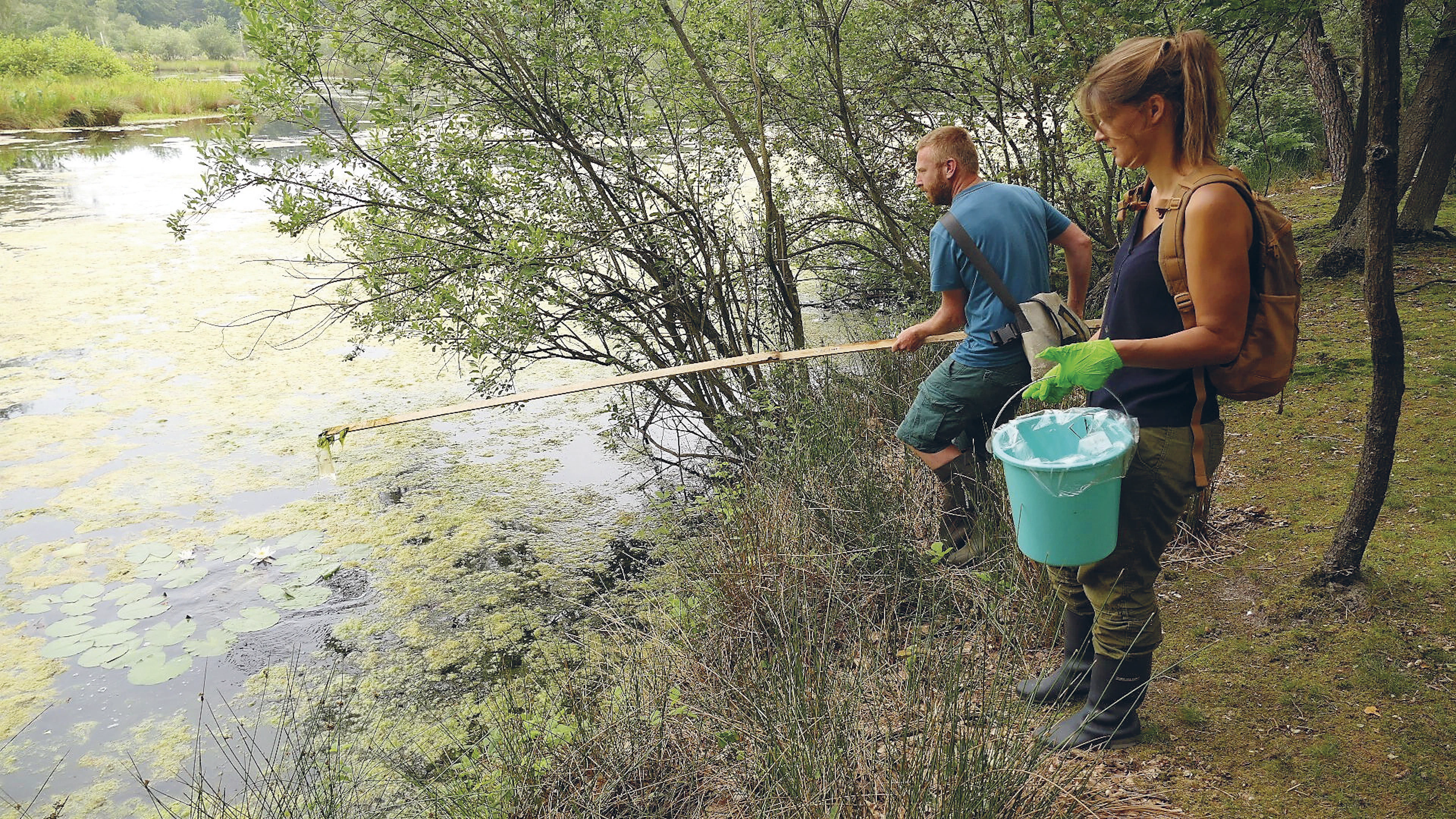 Eén waterstaal volstaat om biodiversiteit in waterloop in kaart te brengen