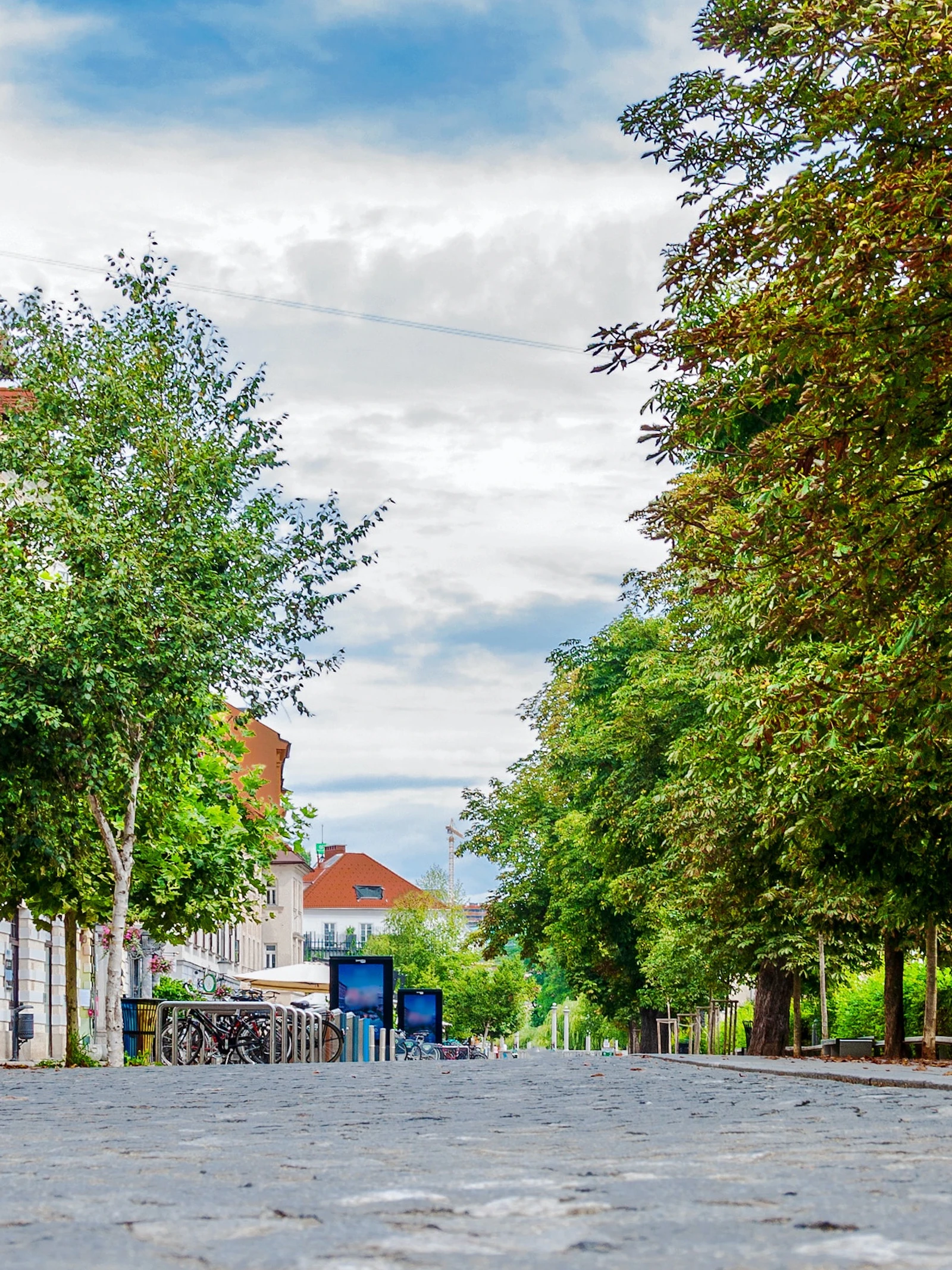 Groene omgeving heeft effect op kind in baarmoeder