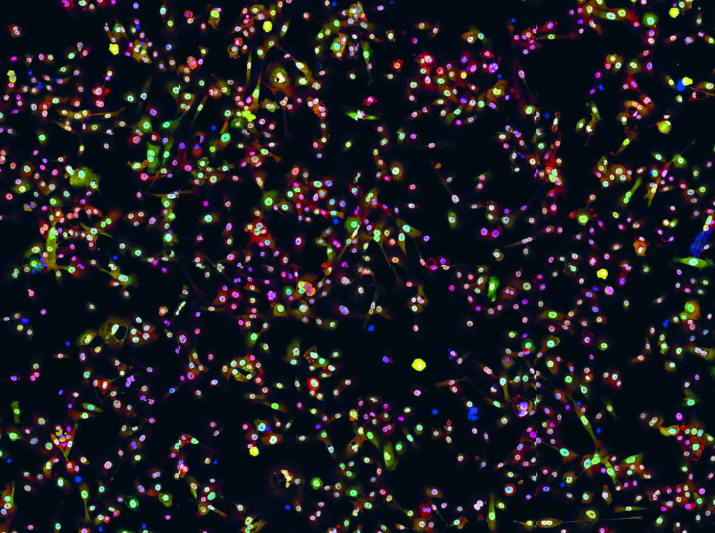 Bacteriën in de strijd tegen longkanker
