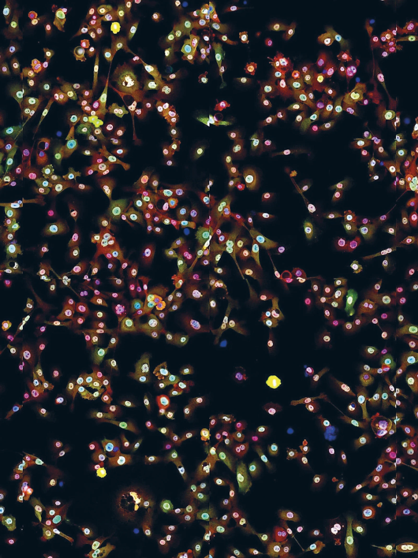 Bacteriën in de strijd tegen longkanker