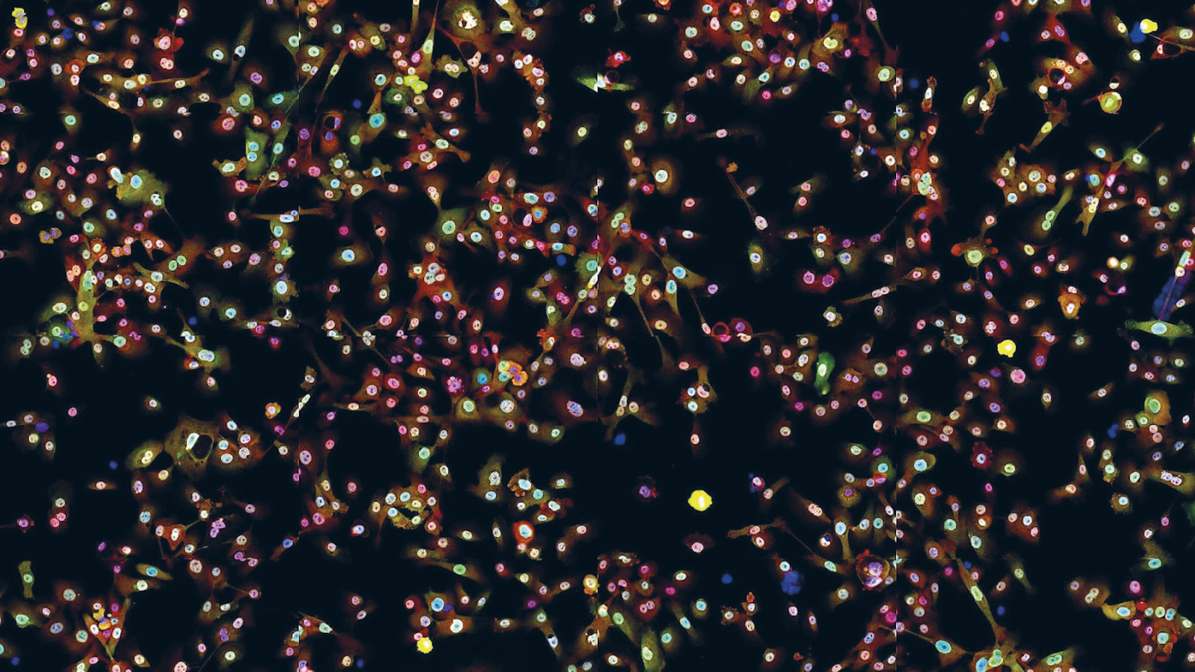 Bacteriën in de strijd tegen longkanker