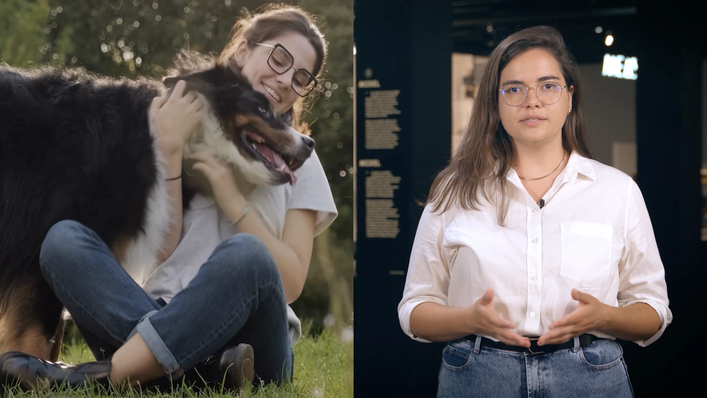 Hoe kunnen honden ons helpen kanker te bestrijden?