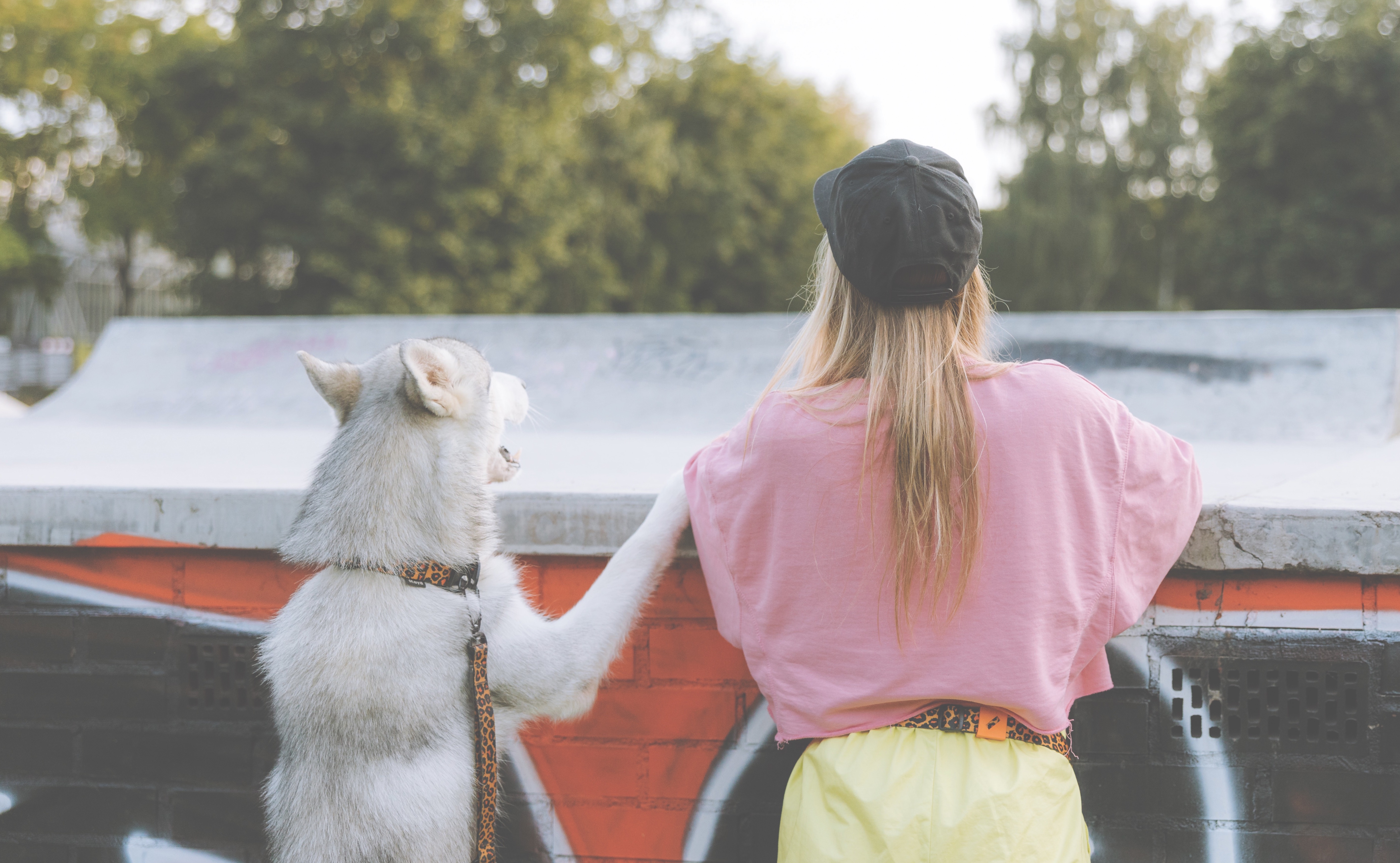 Waarom we honden en katten als onze kinderen zien